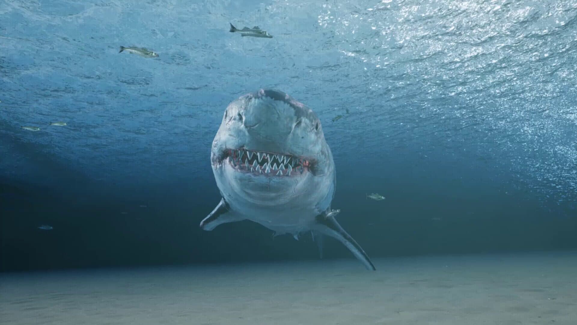 Screenshot for King Crab