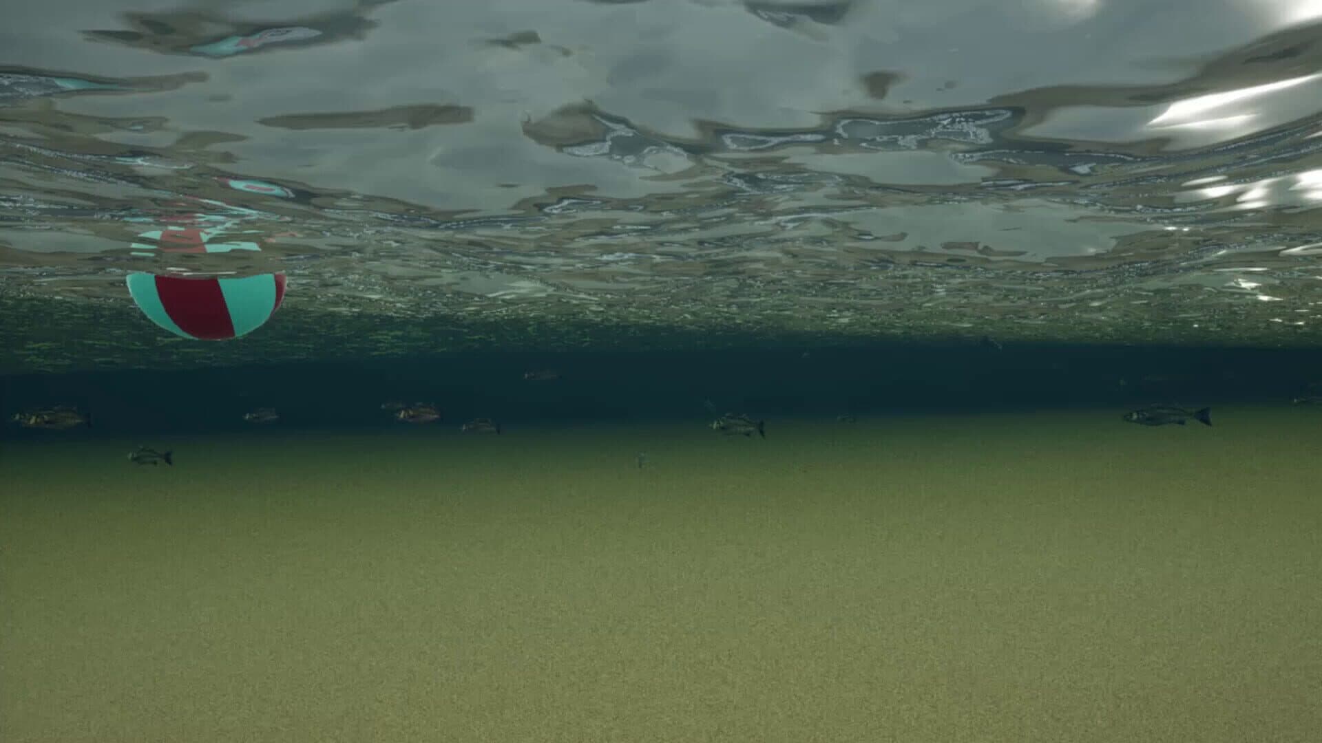 Screenshot for King Crab