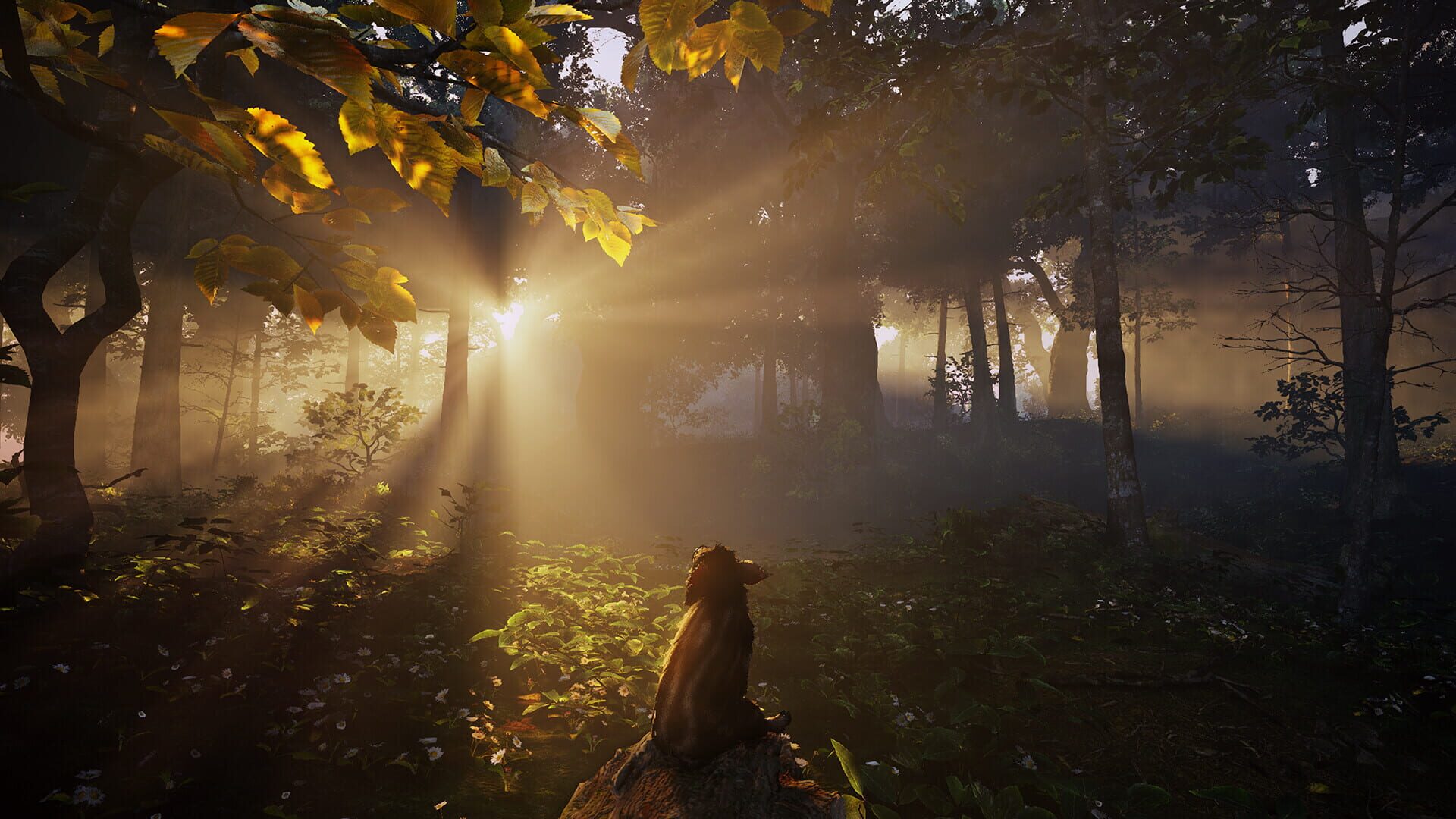 Screenshot for Adorable Adventures