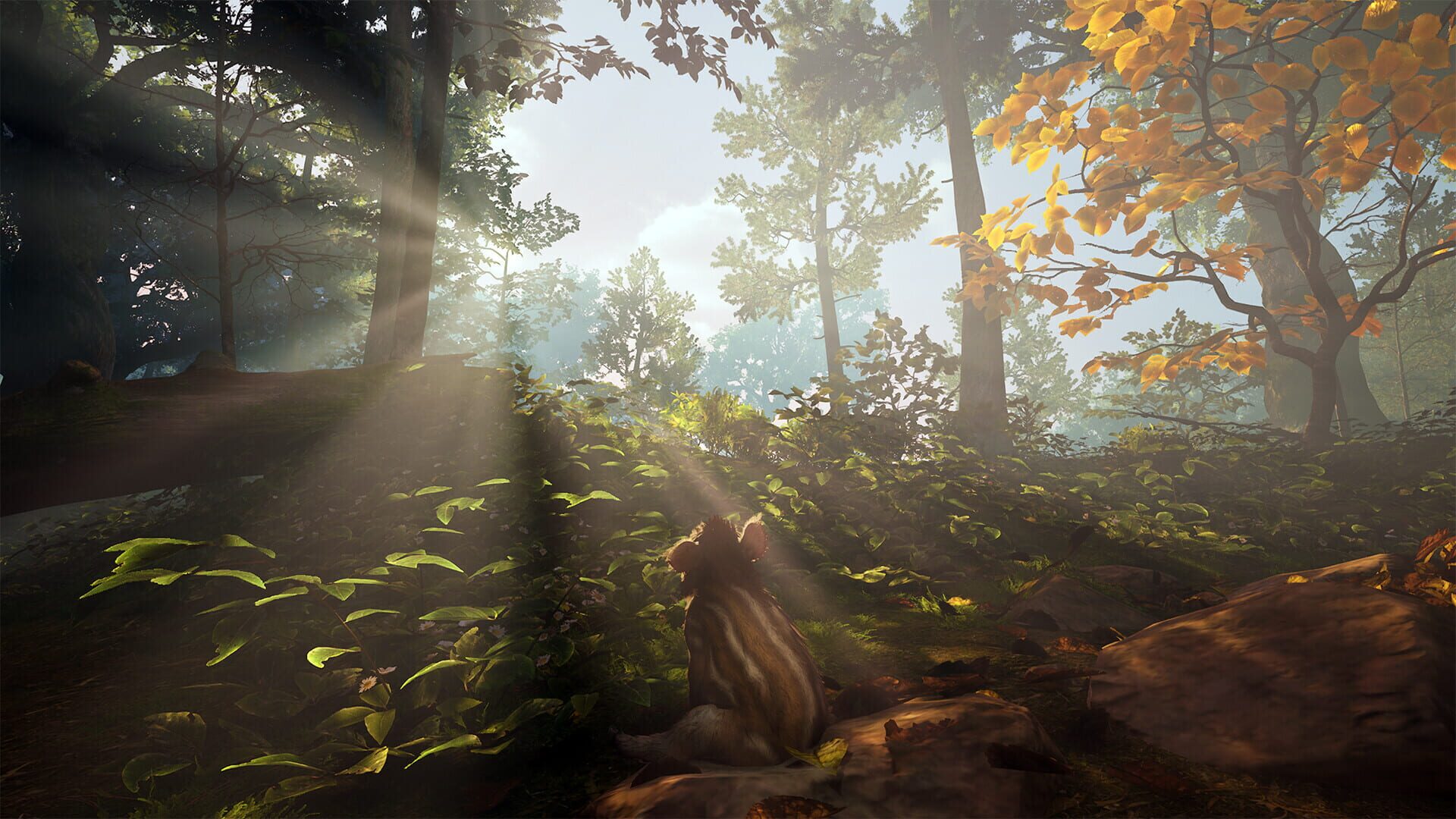 Screenshot for Adorable Adventures