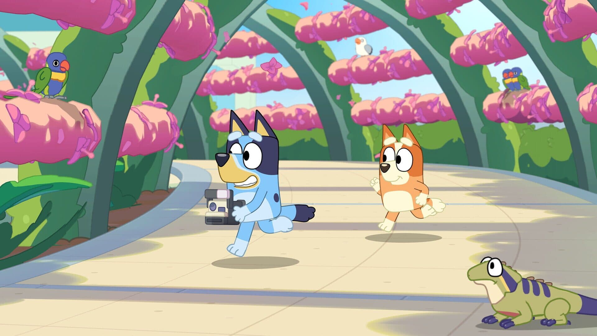 Screenshot for Bluey's Happy Snaps