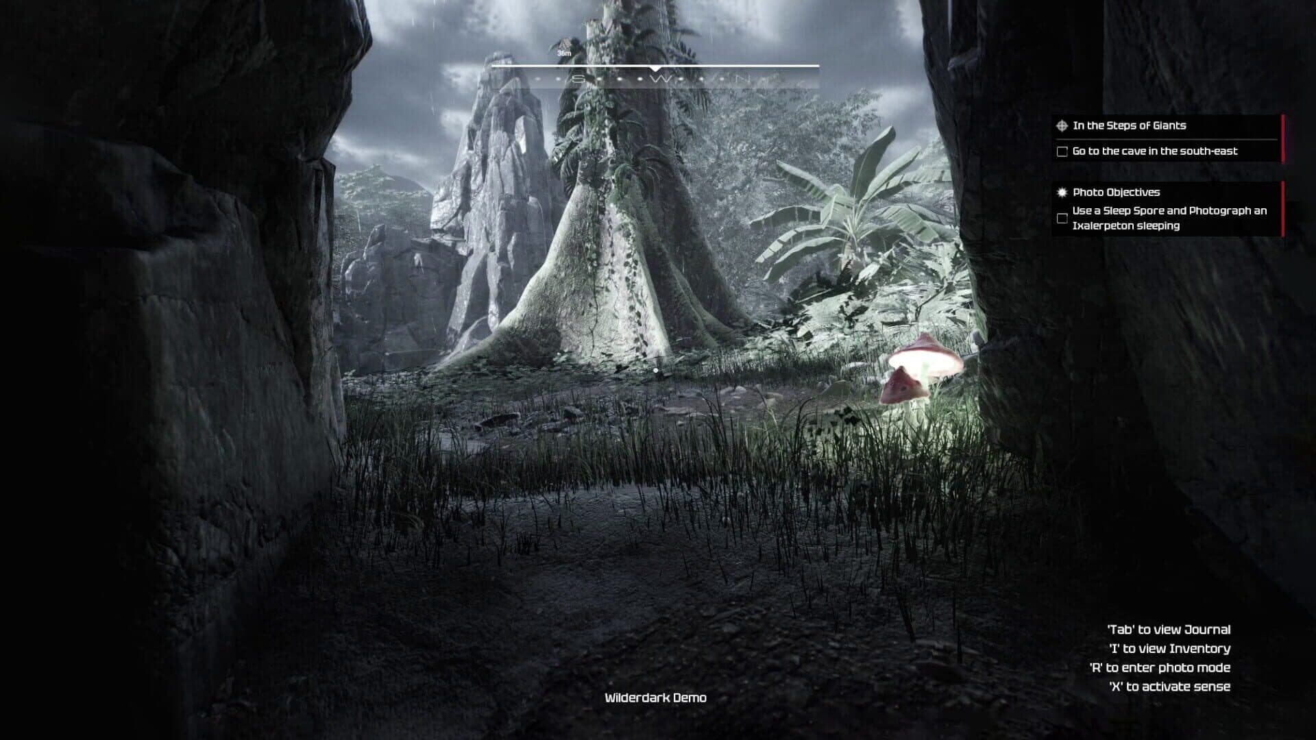 Screenshot for Wilderdark