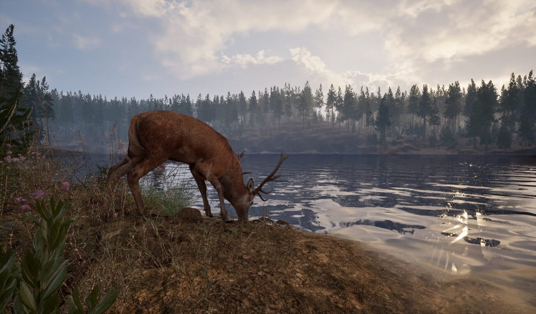 Screenshot for Online: 404