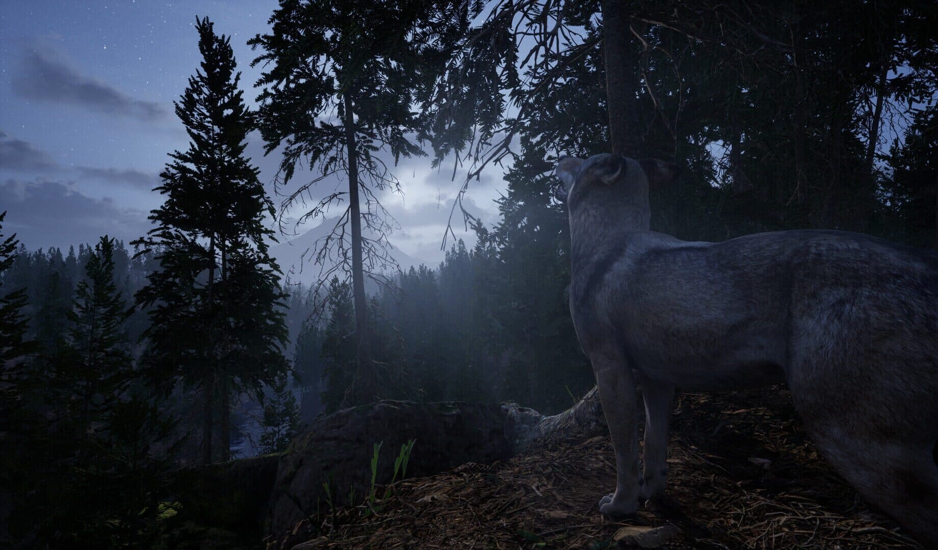 Screenshot for Online: 404