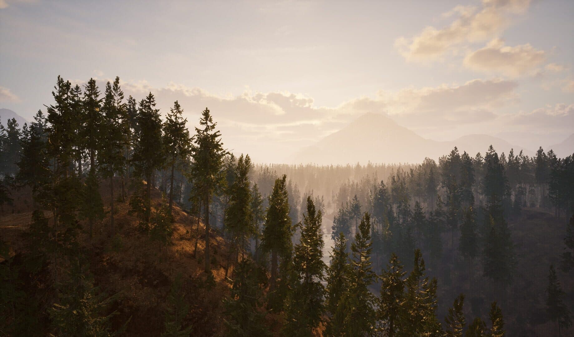 Screenshot for Online: 404