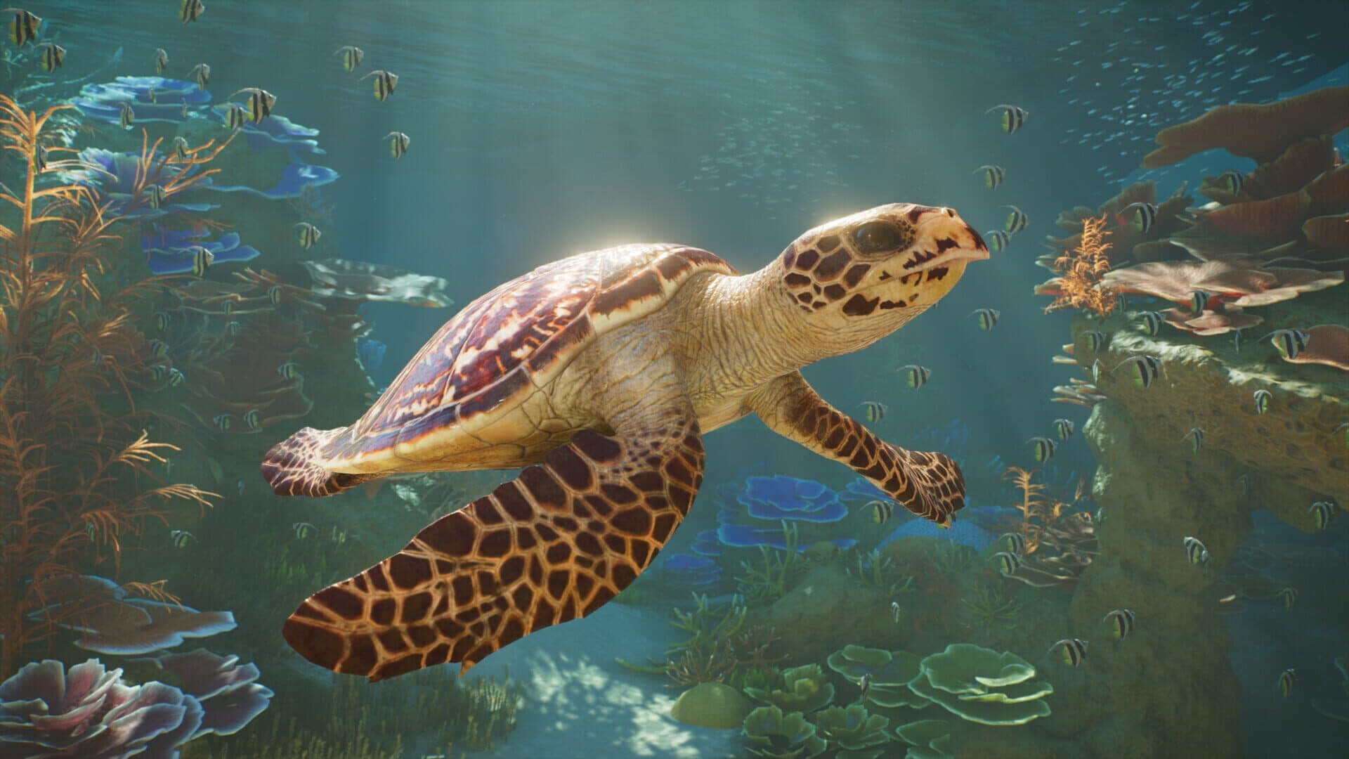Screenshot for Planet Zoo 2