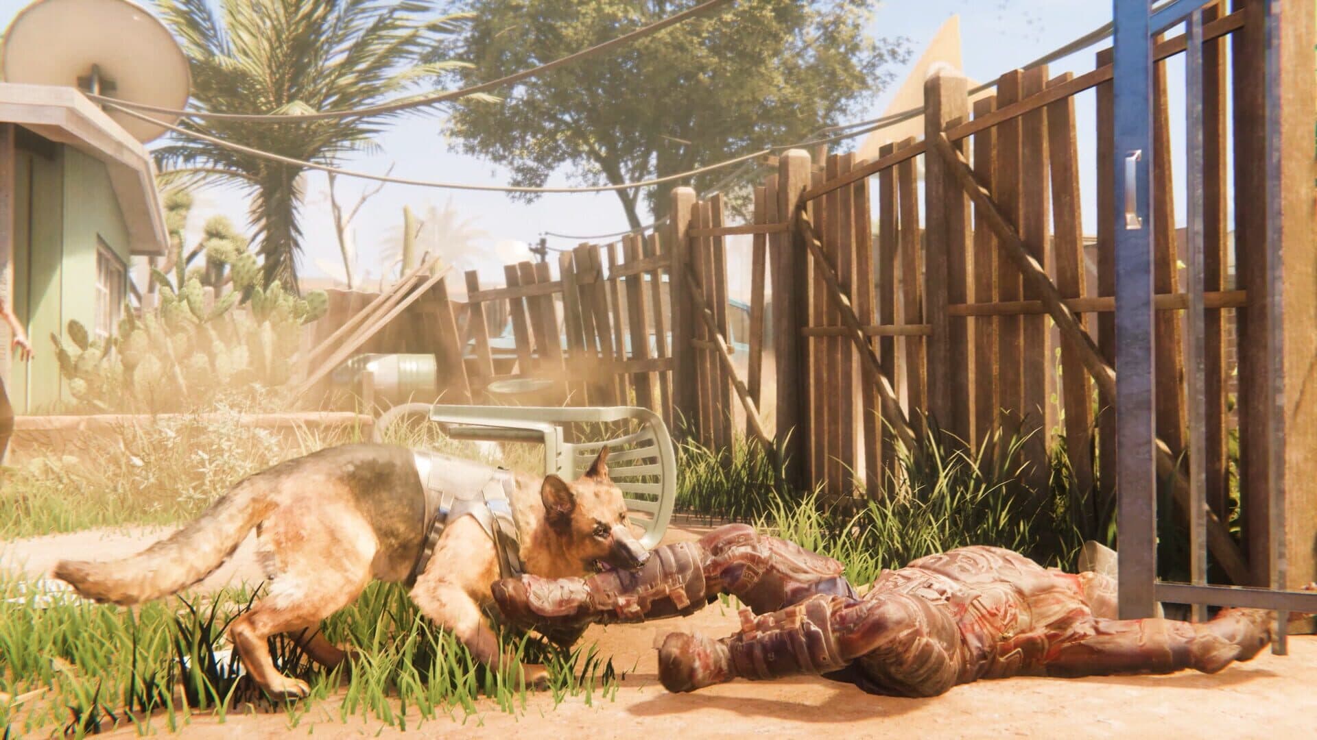 Screenshot for Arizona Sunshine
