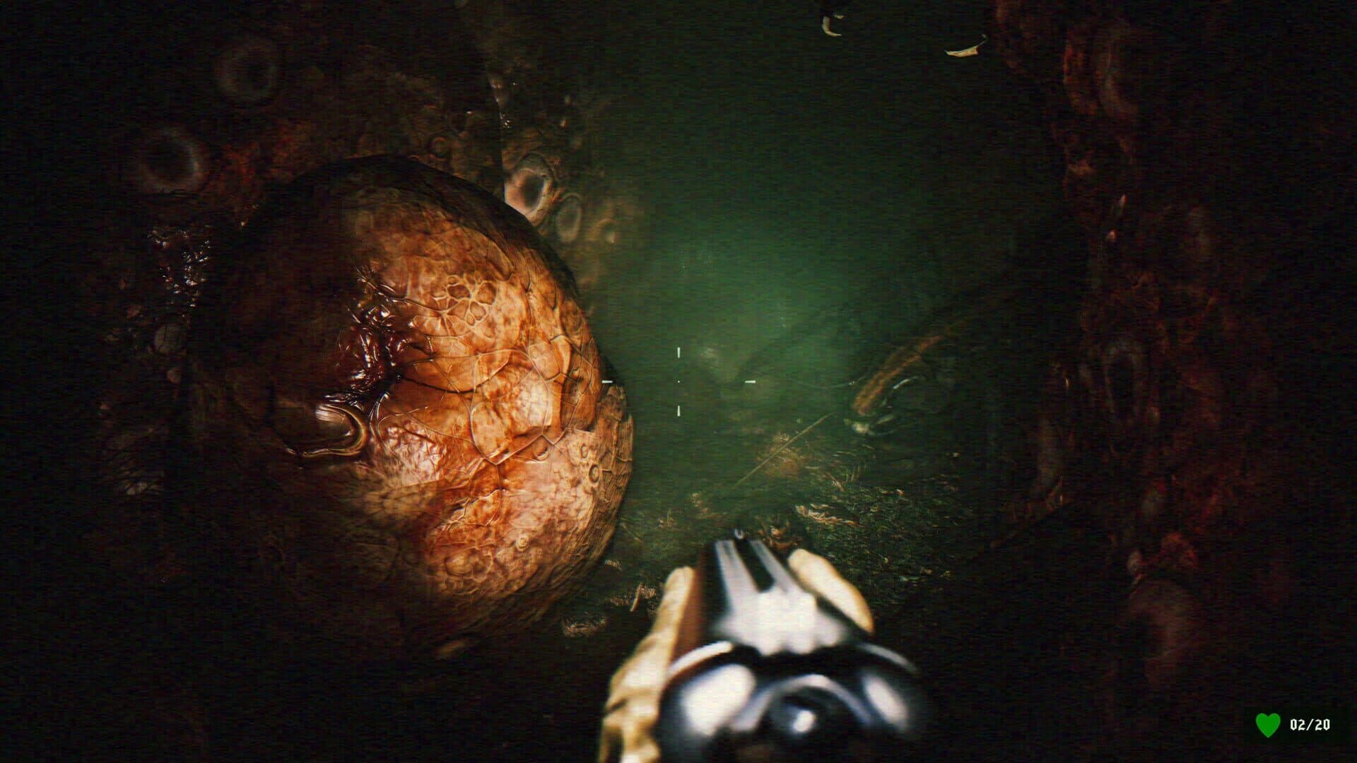Screenshot for Gutted: Infested Crypts
