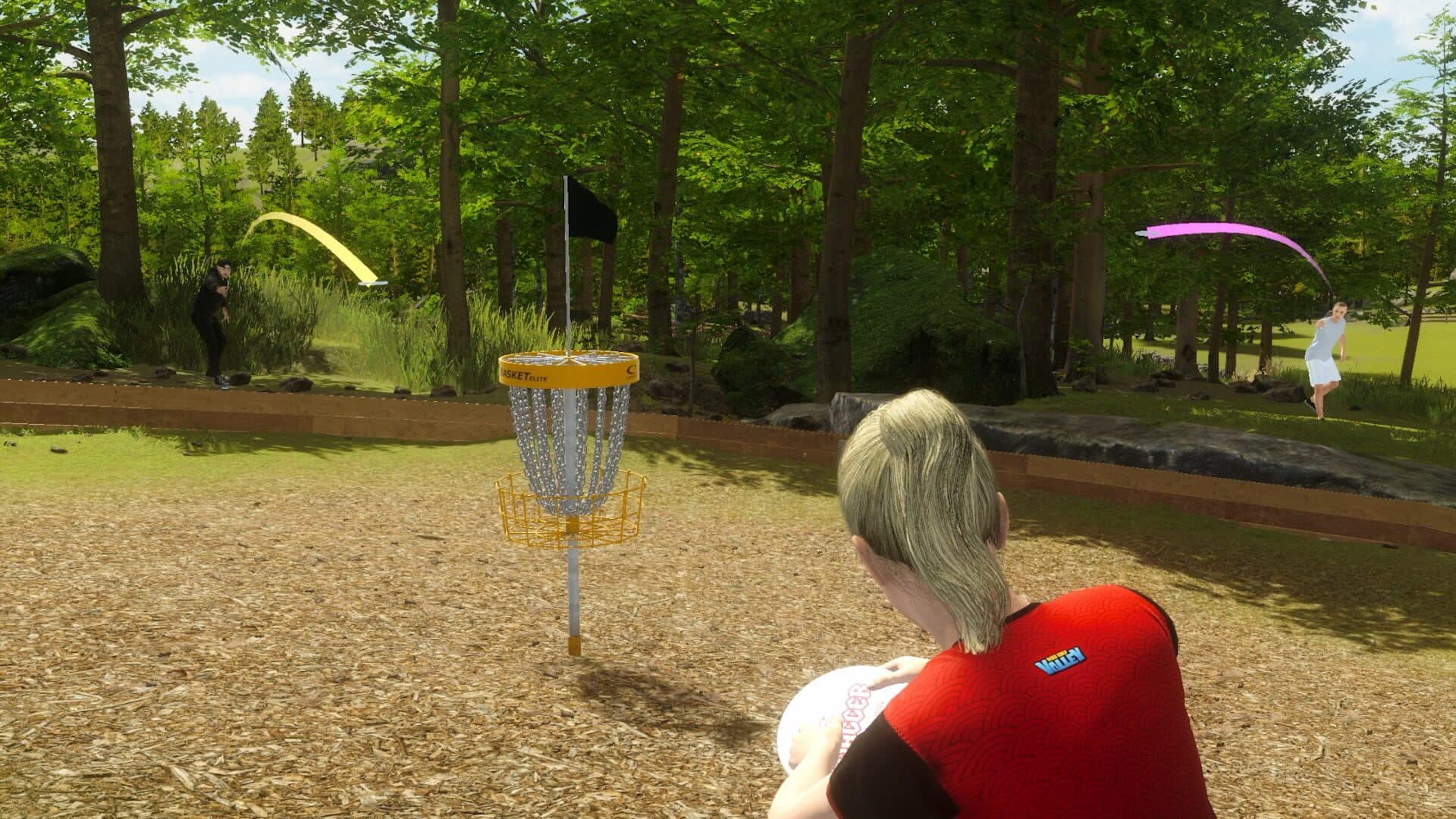 Screenshot for Disc Golf Masters