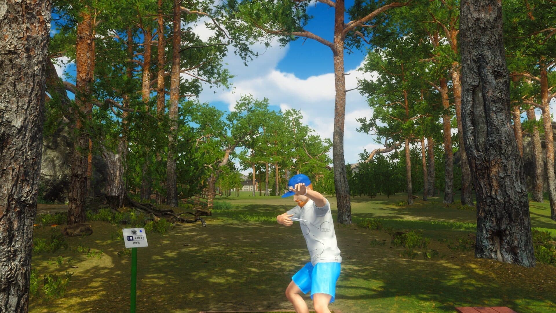 Screenshot for Disc Golf Masters