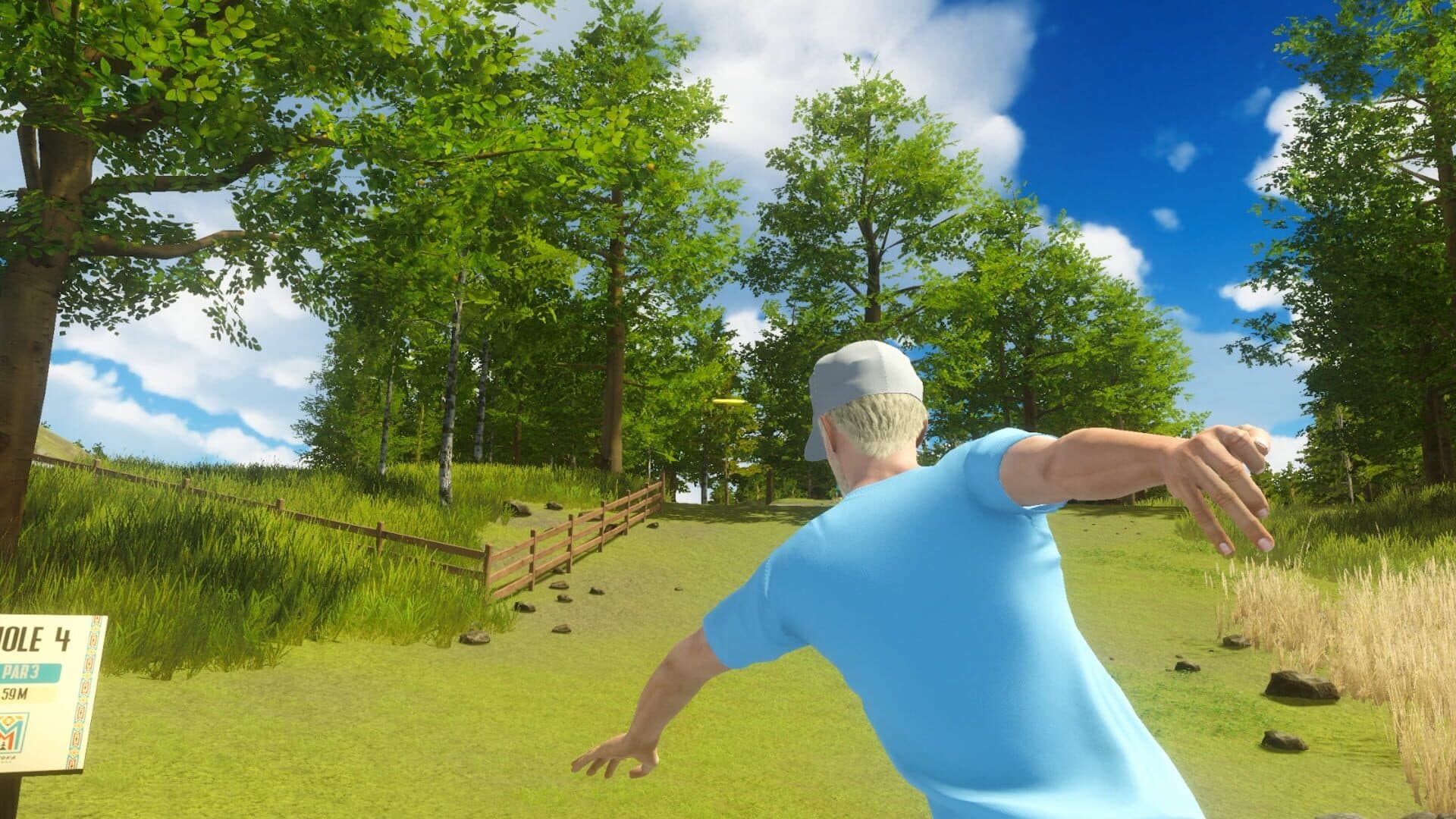 Screenshot for Disc Golf Masters