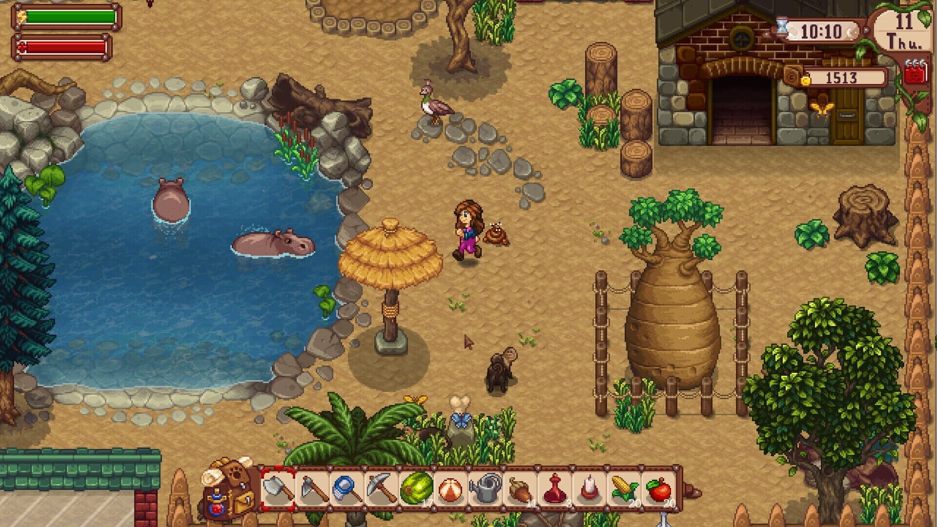 Screenshot for Super Zoo Story