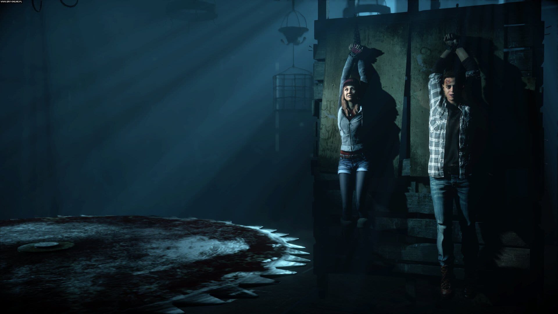 Screenshot for Until Dawn