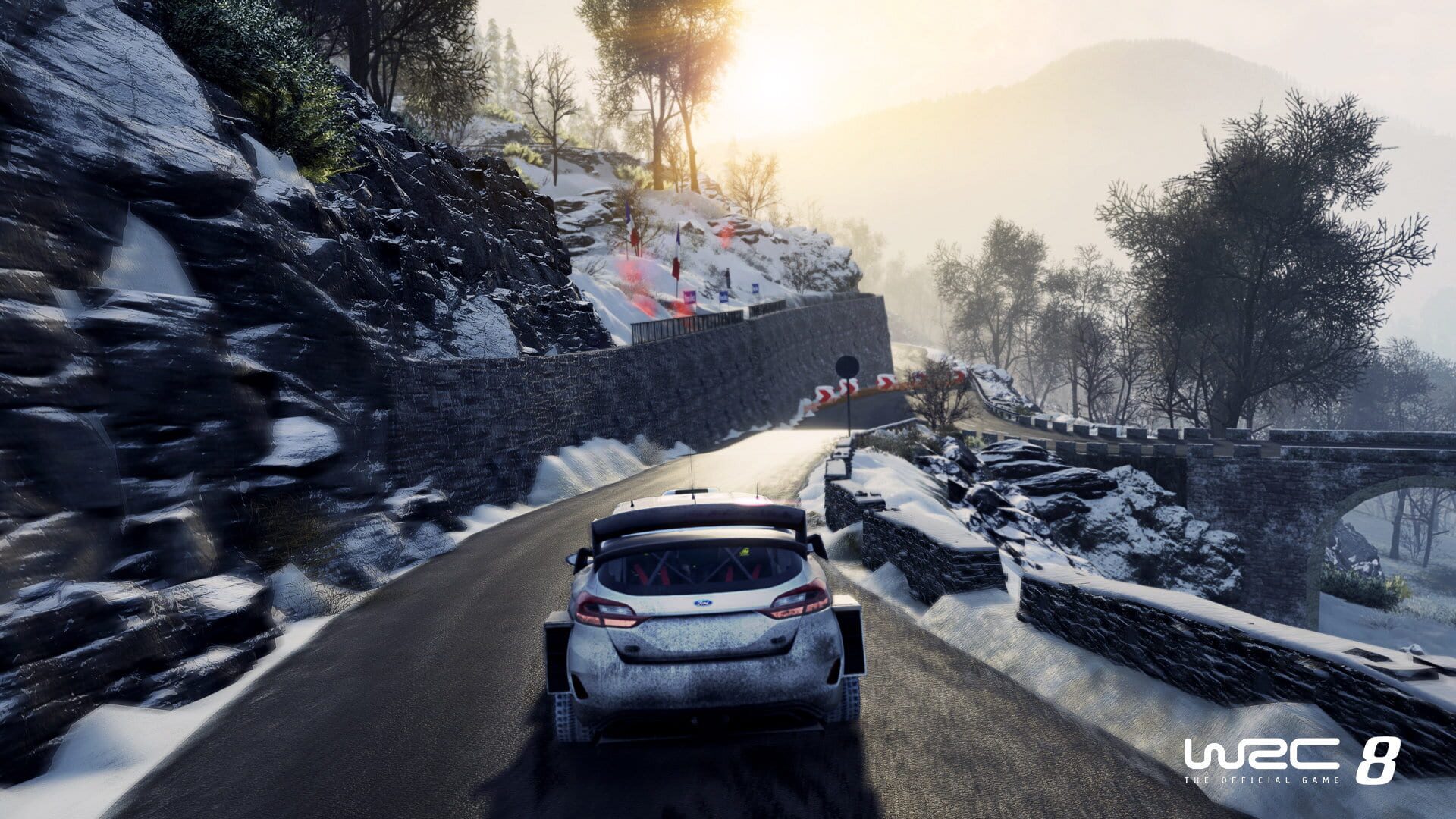 Screenshot for WRC 8