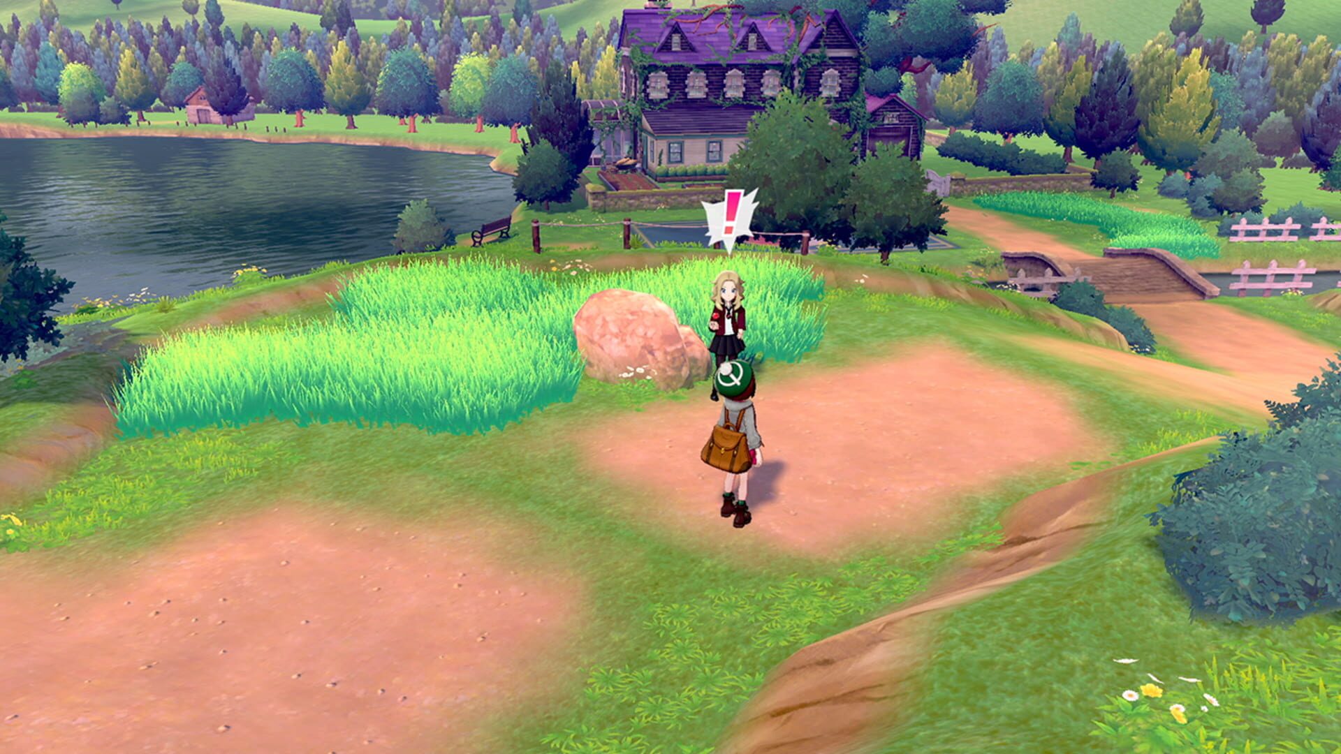 Screenshot for Pokémon Shield