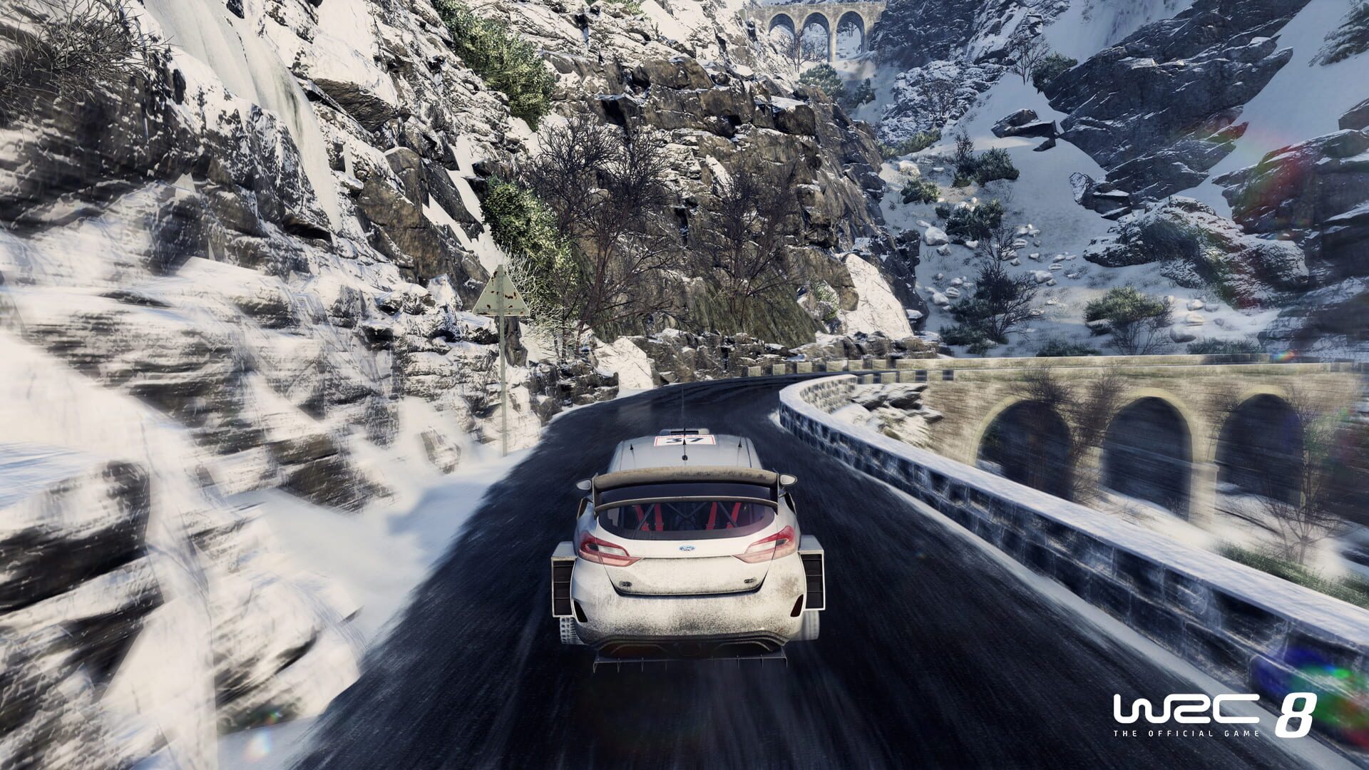 Screenshot for WRC 8