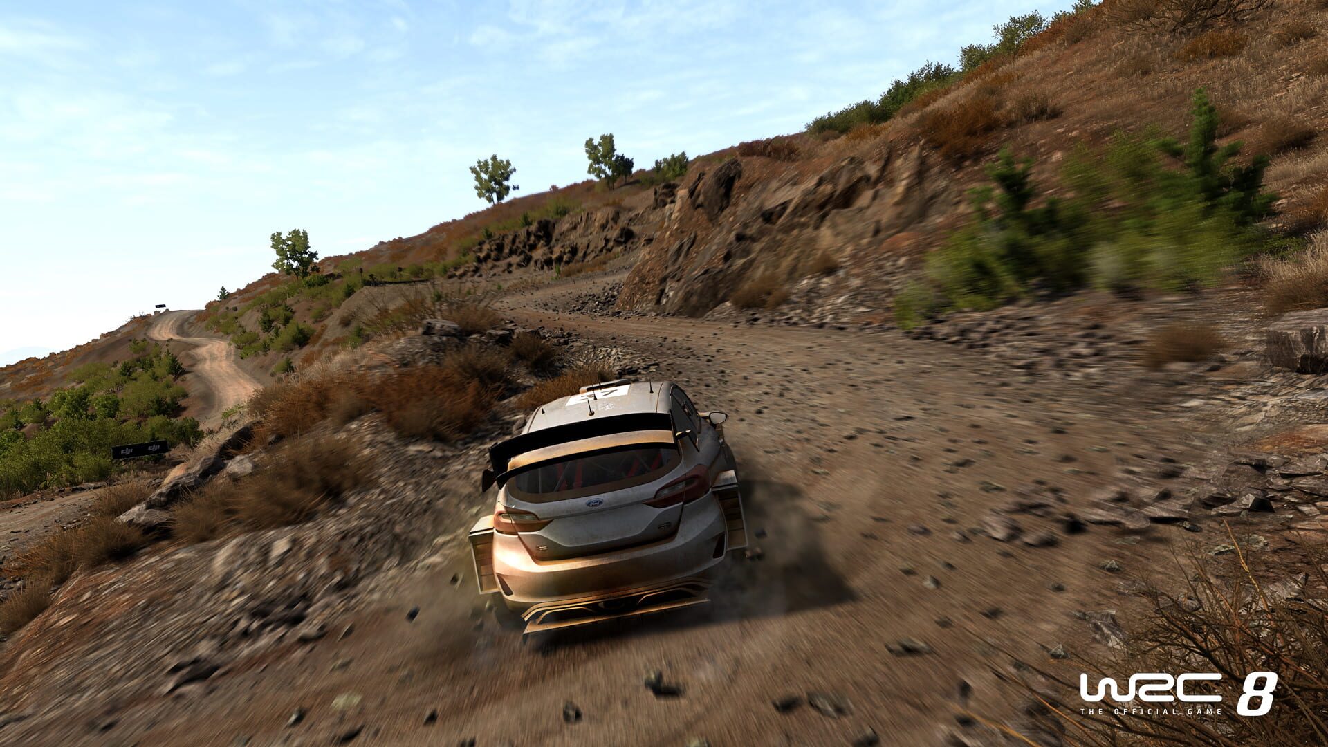 Screenshot for WRC 8