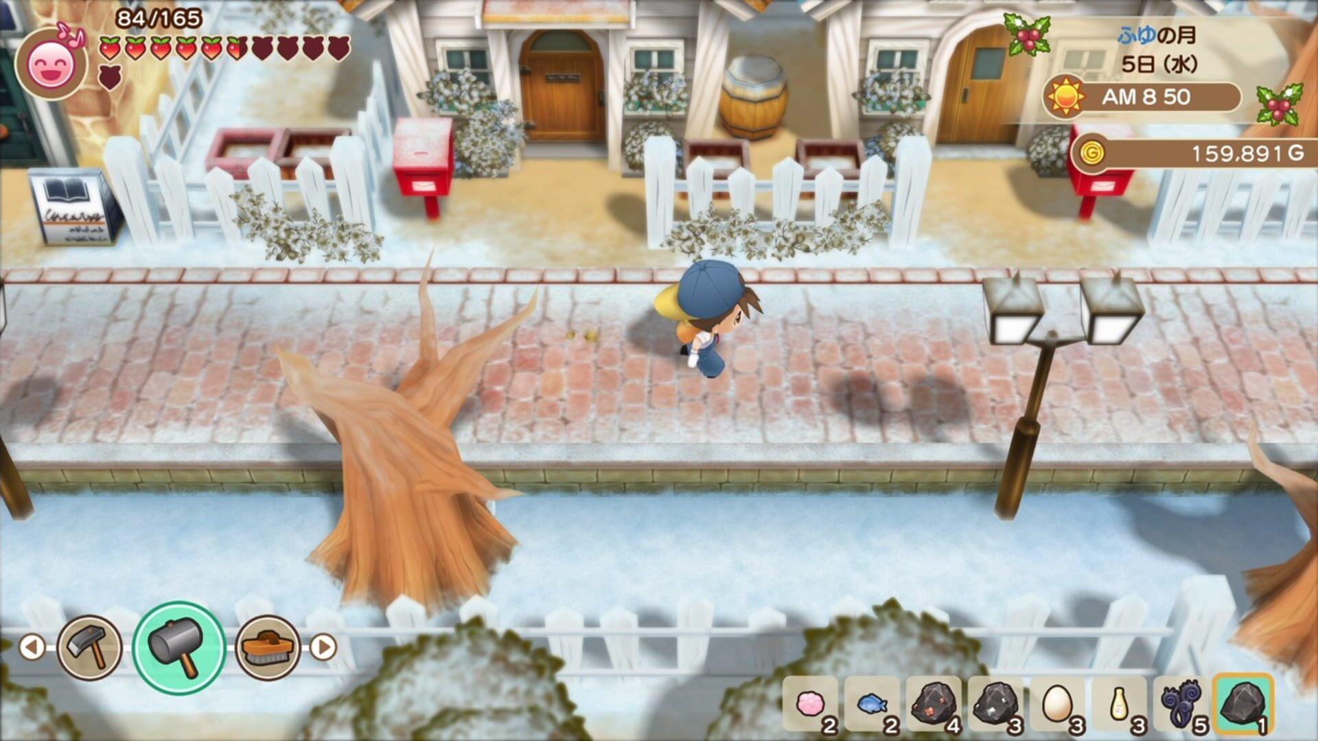 Screenshot for Story of Seasons: Friends of Mineral Town