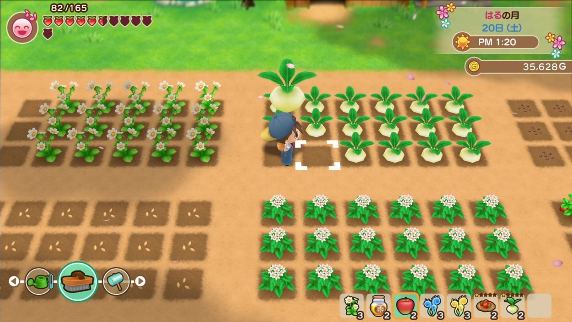 Screenshot for Story of Seasons: Friends of Mineral Town