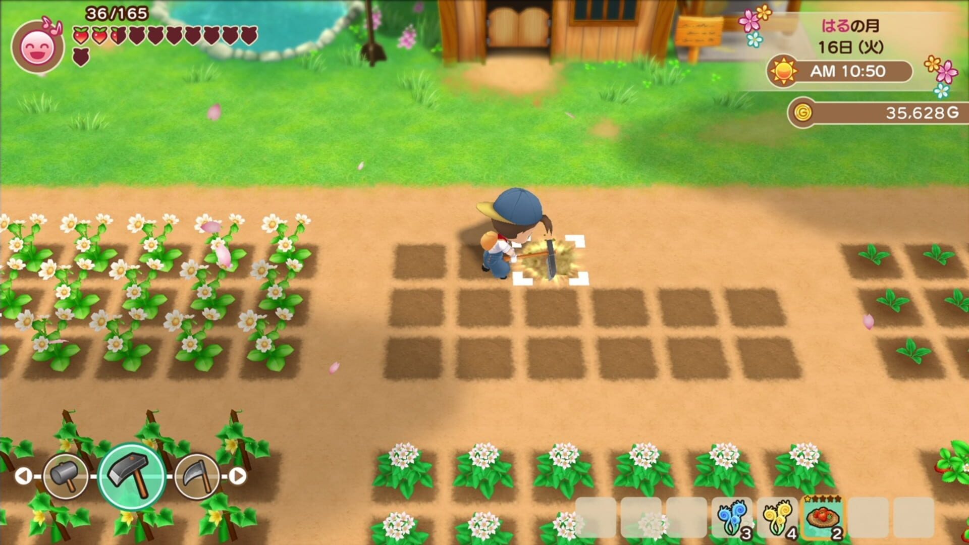 Screenshot for Story of Seasons: Friends of Mineral Town