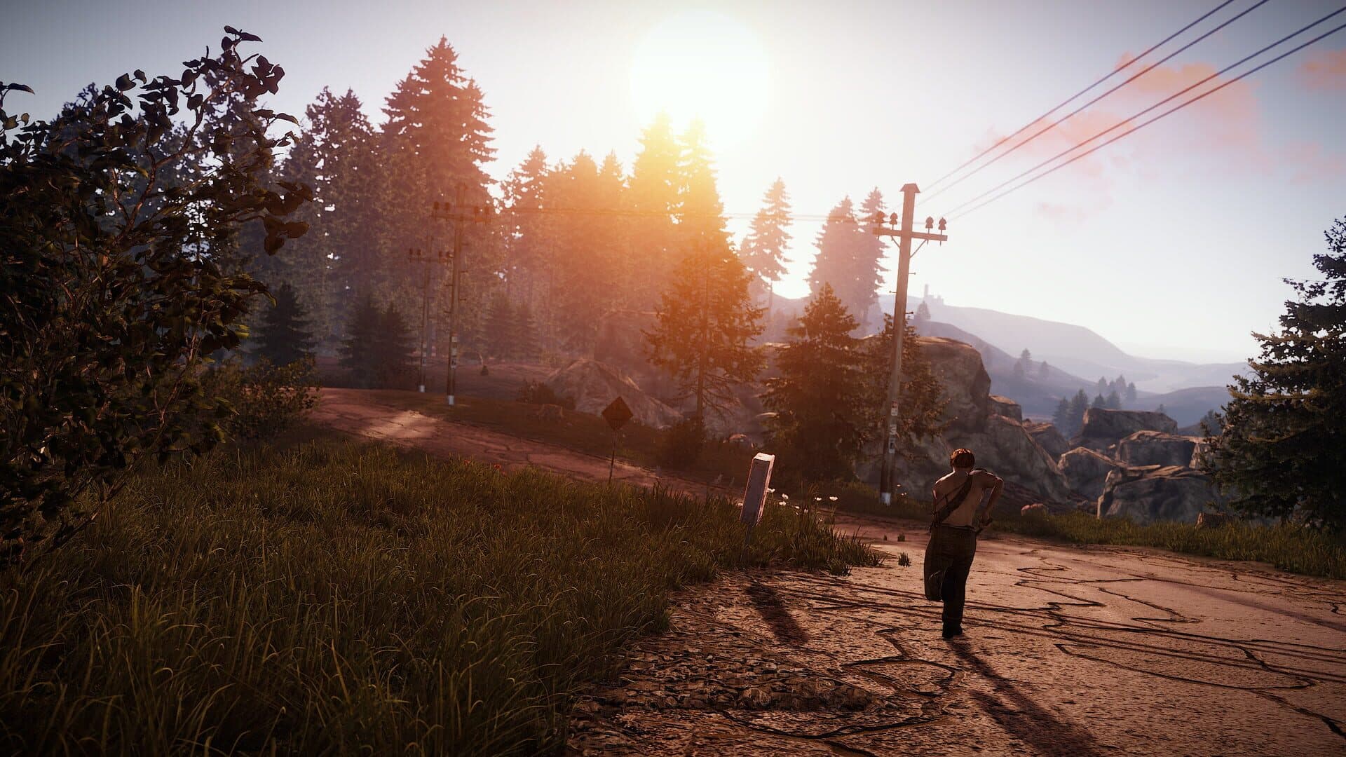 Screenshot for Rust