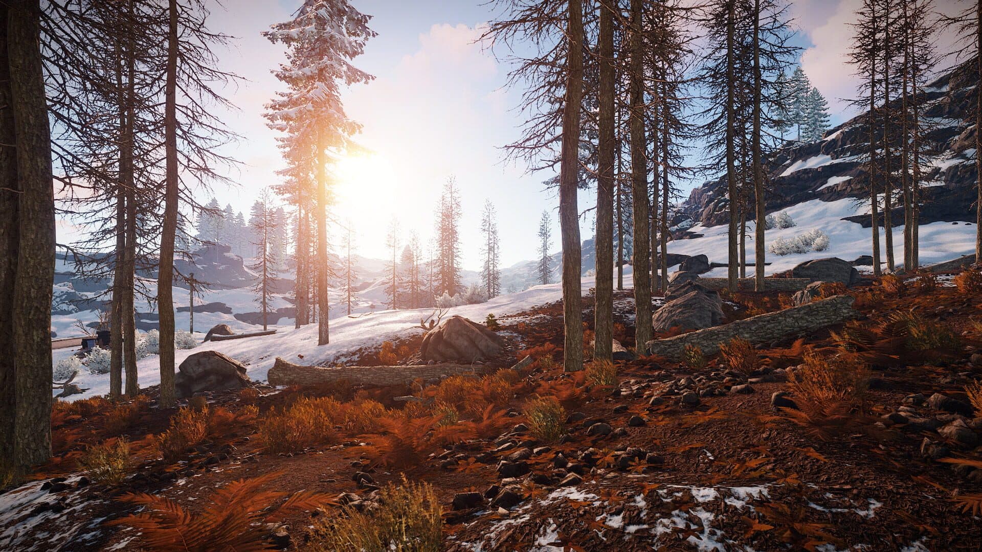 Screenshot for Rust
