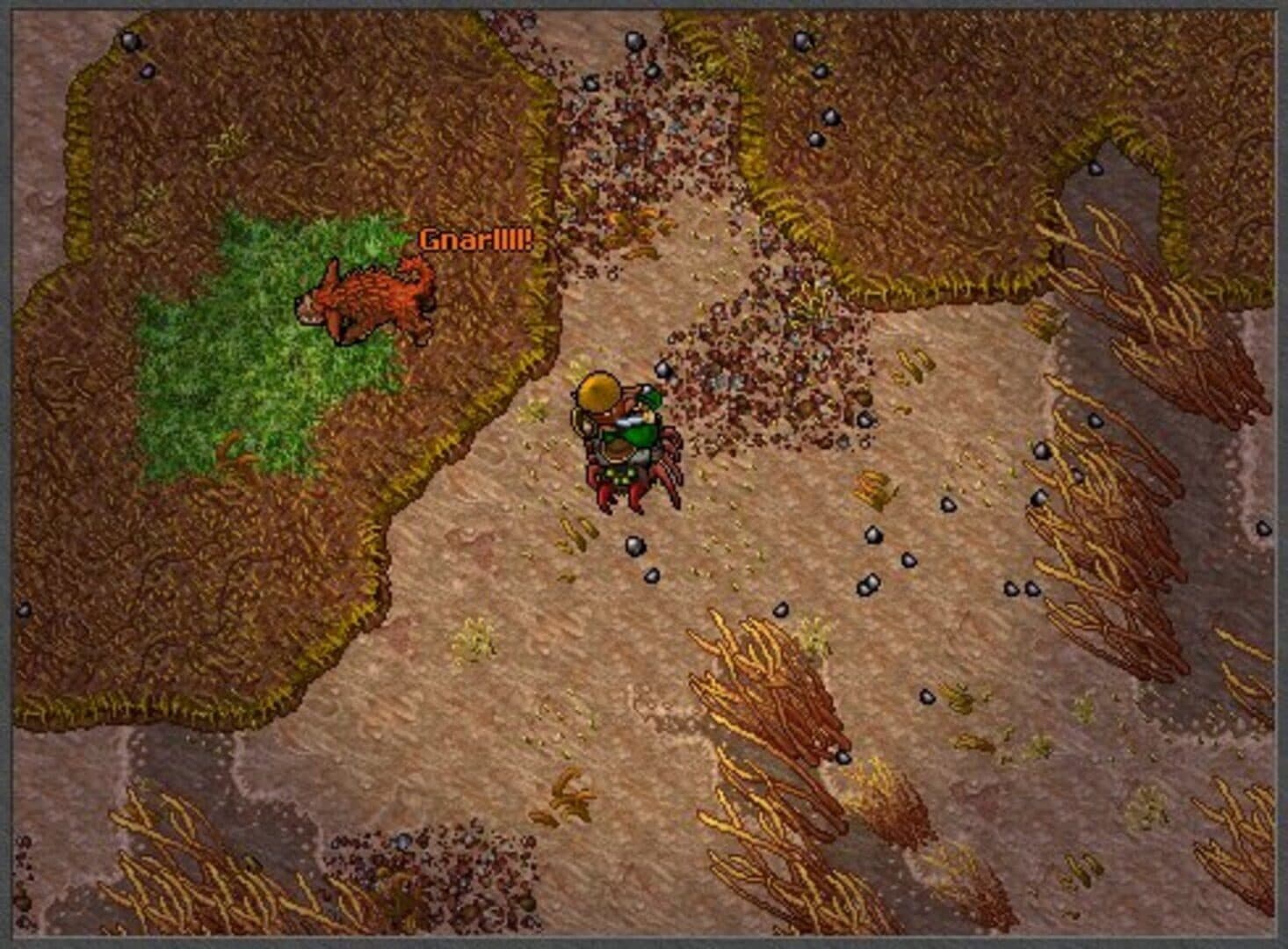 Screenshot for Tibia