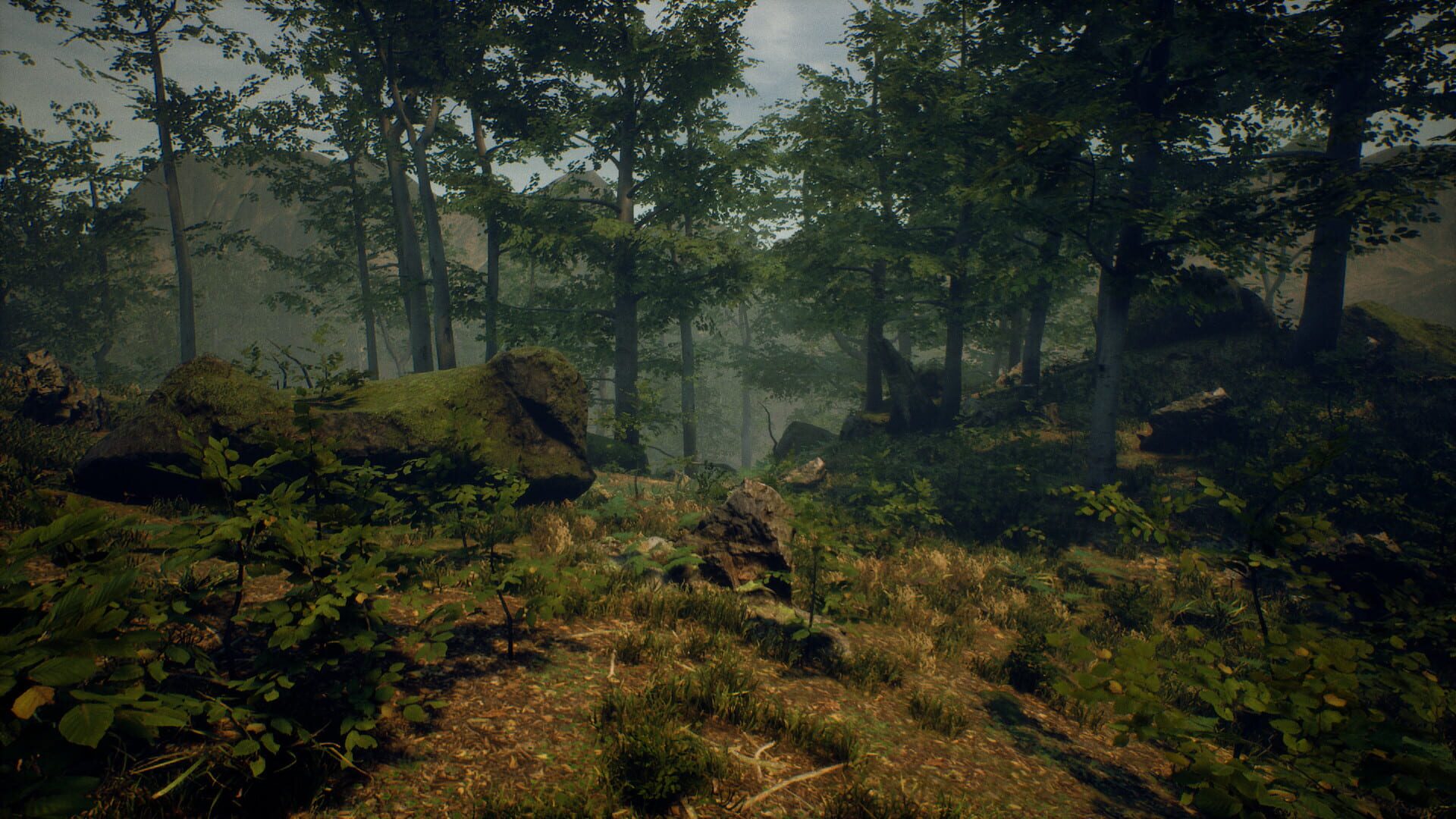 Screenshot for Folklore Hunter