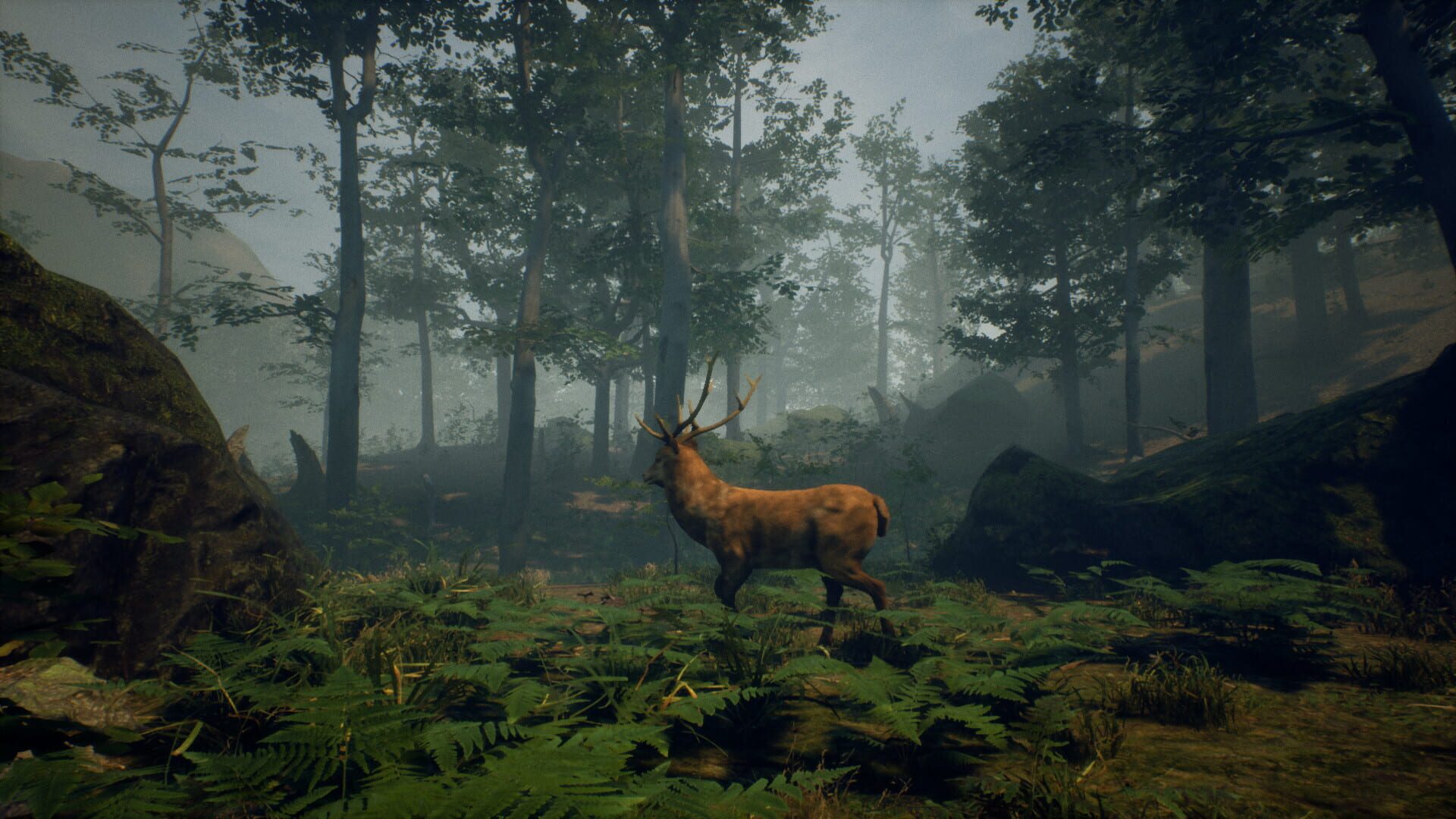 Screenshot for Folklore Hunter