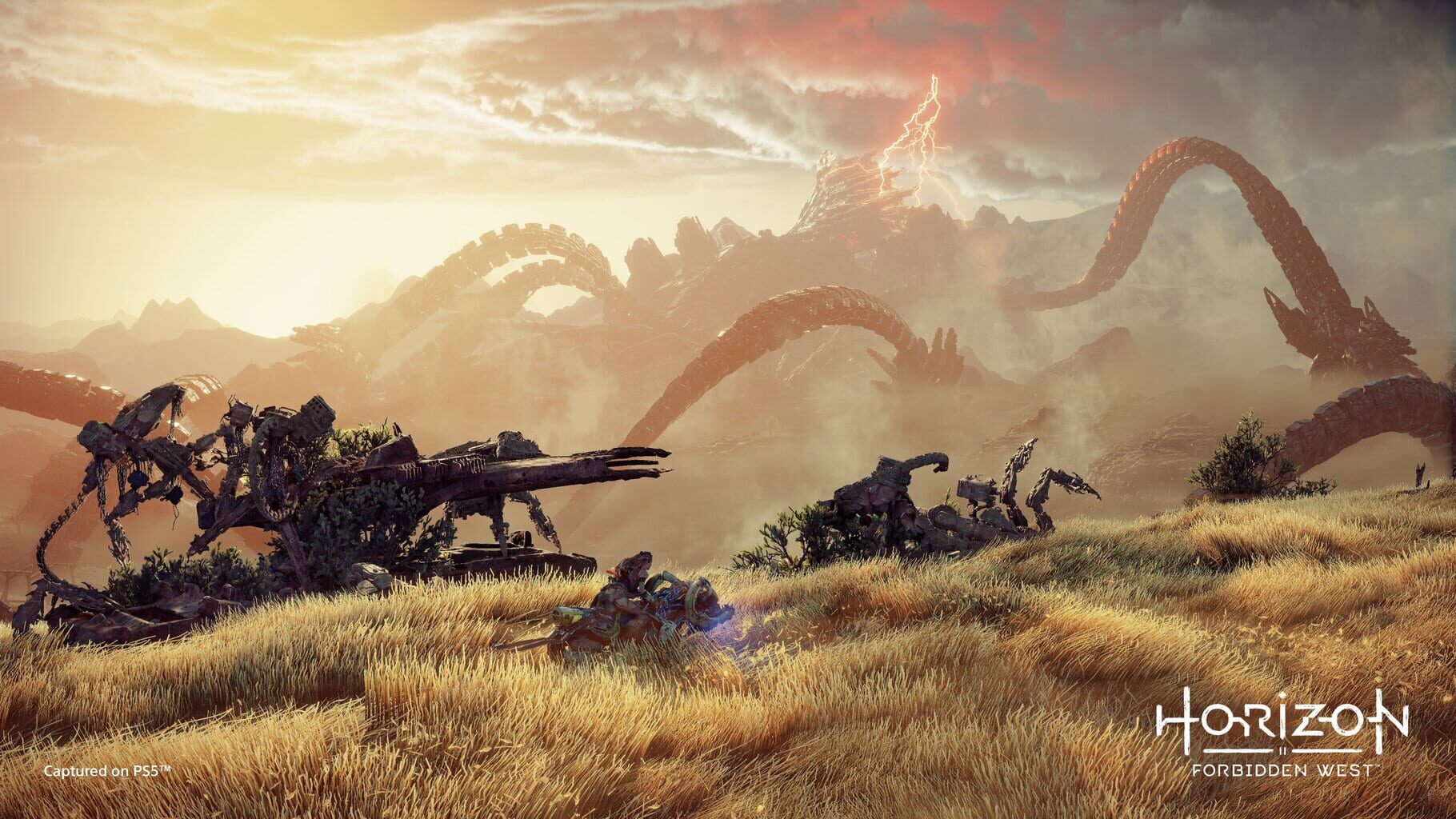 Screenshot for Horizon Forbidden West