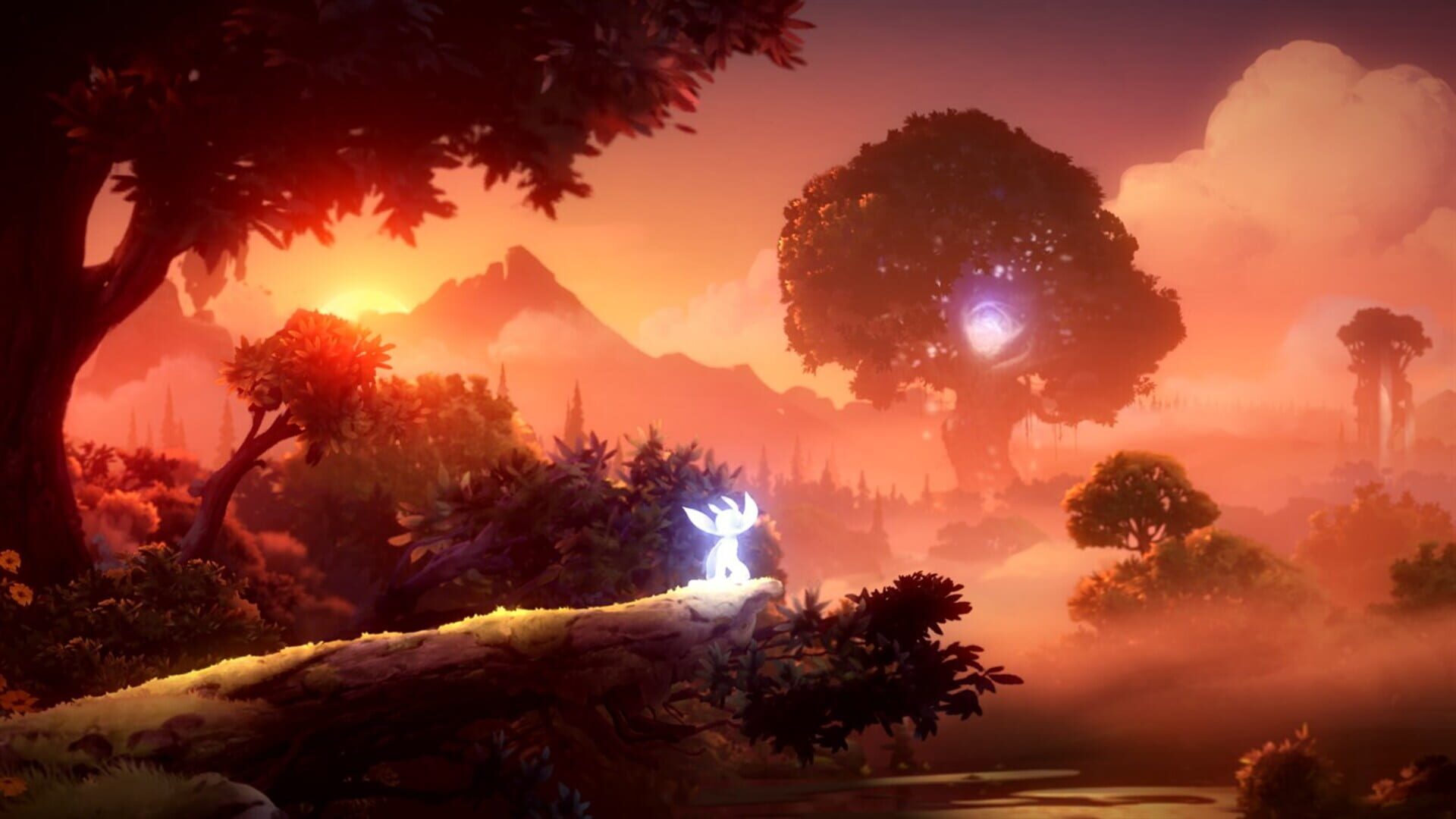 Screenshot for Ori and the Will of the Wisps