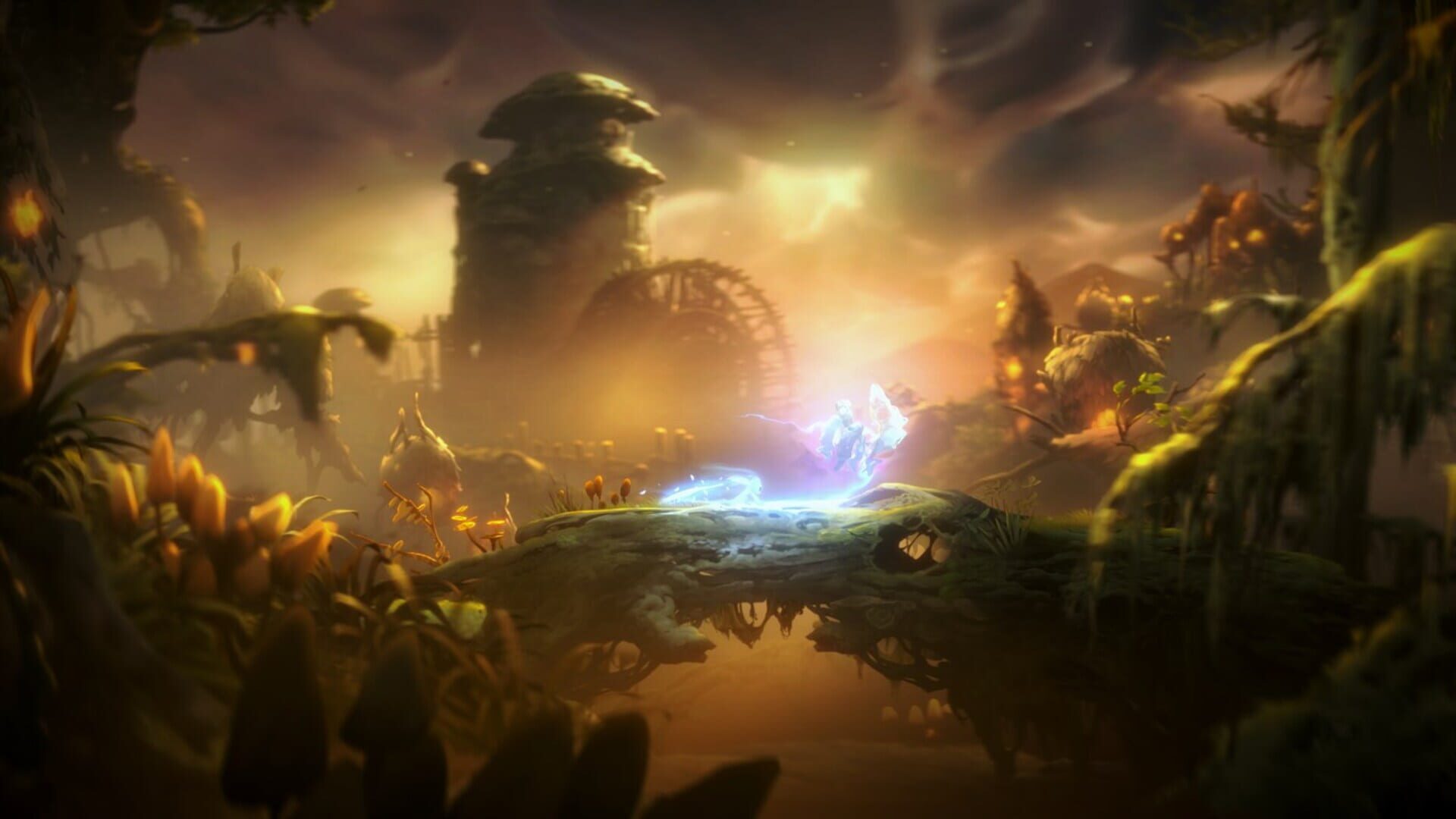 Screenshot for Ori and the Will of the Wisps