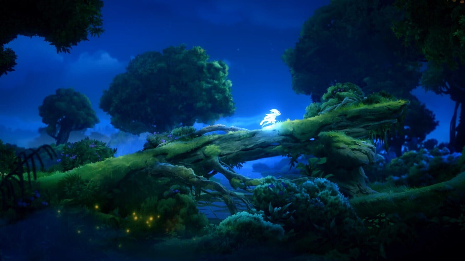 Screenshot for Ori and the Will of the Wisps