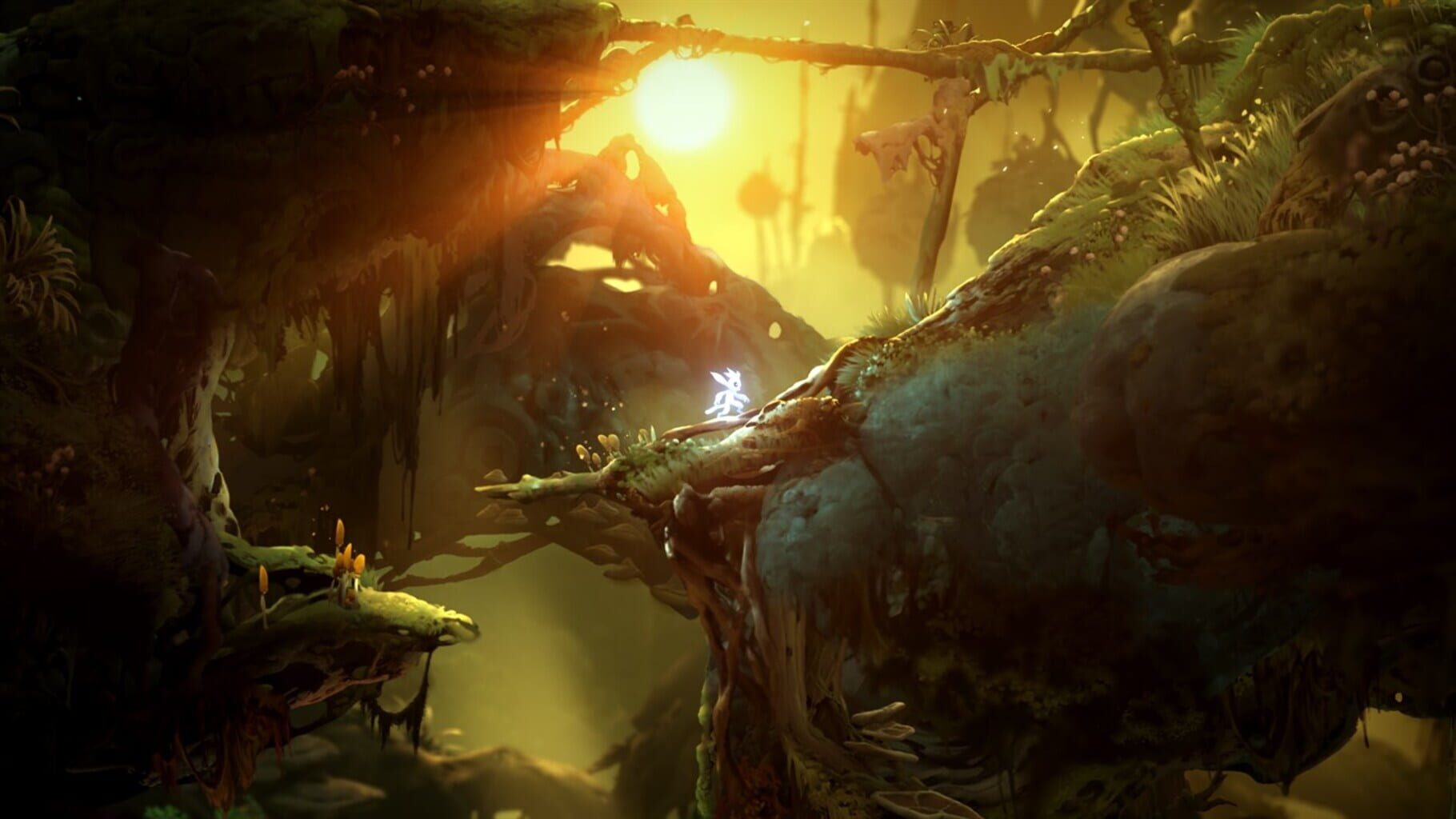 Screenshot for Ori and the Will of the Wisps