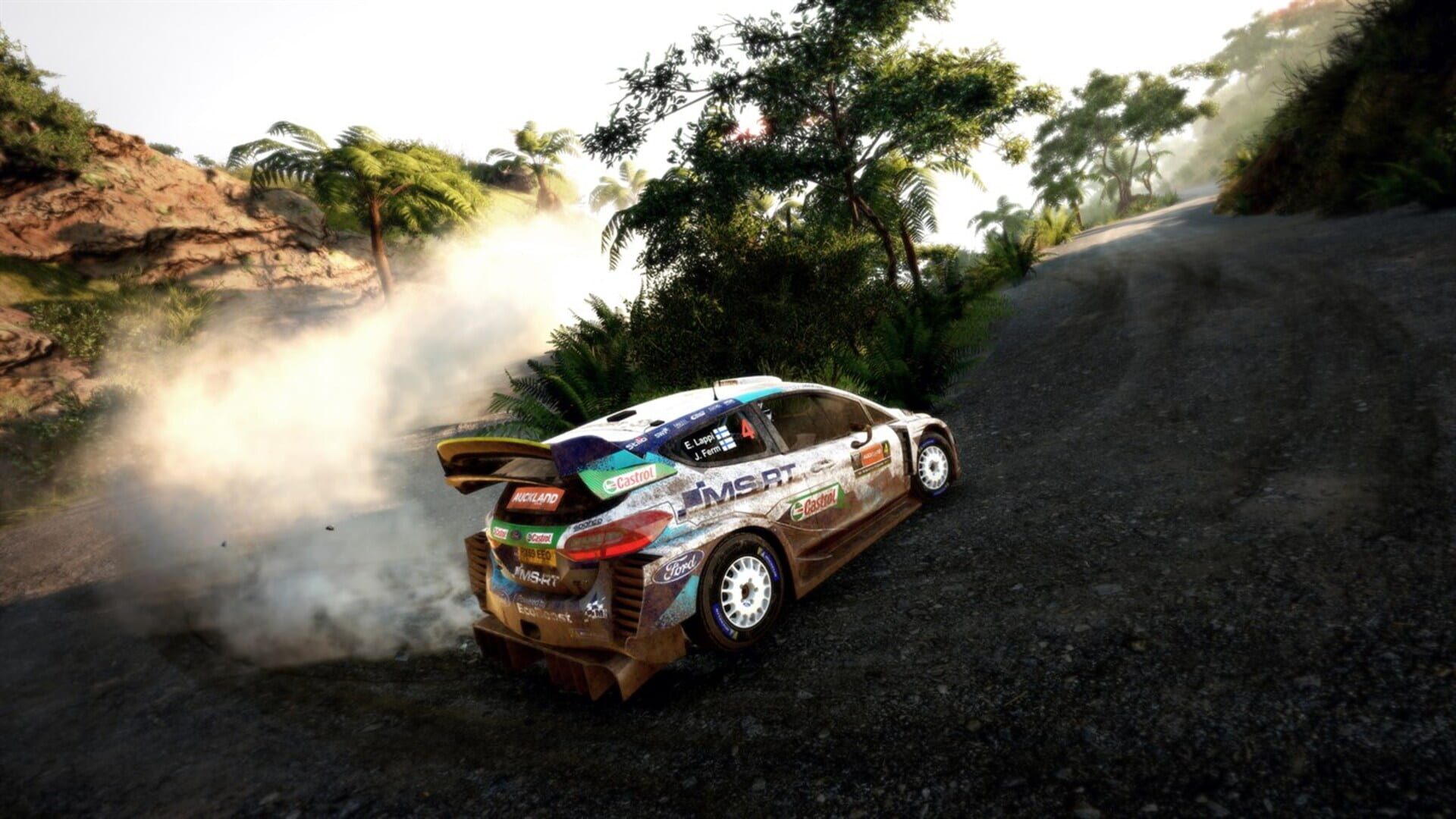 Screenshot for WRC 9