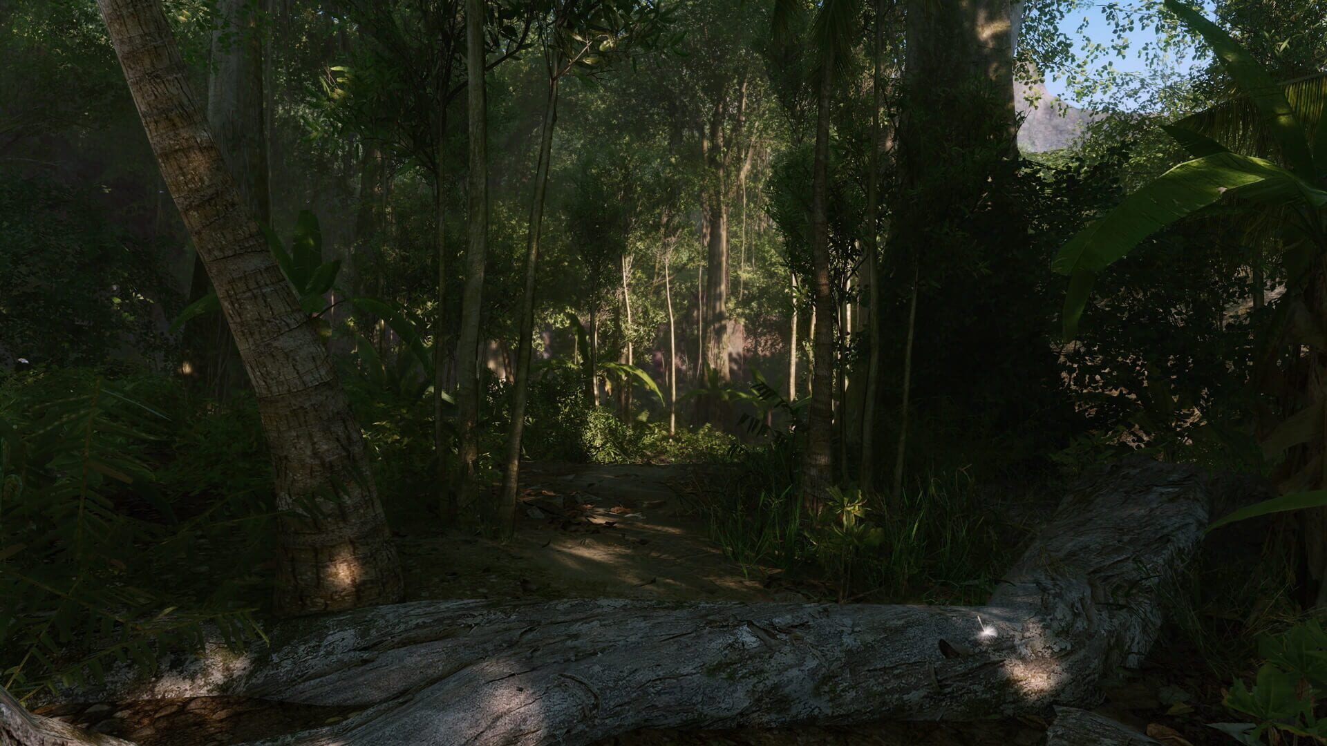 Screenshot for Crysis Remastered