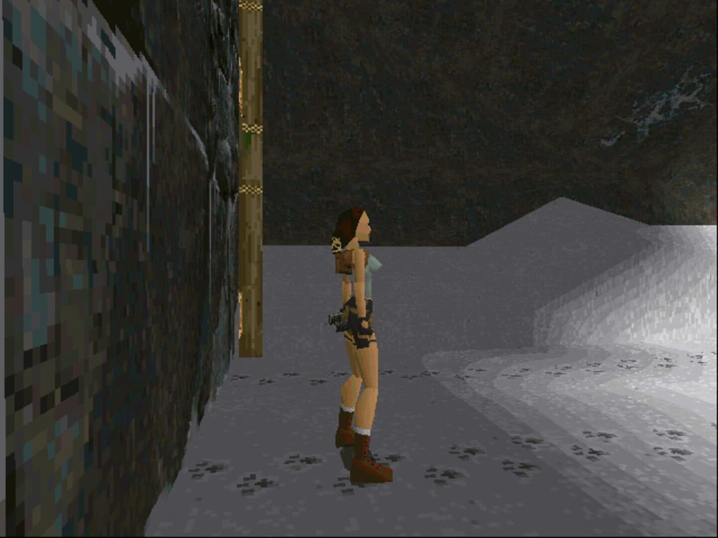 Screenshot for Tomb Raider
