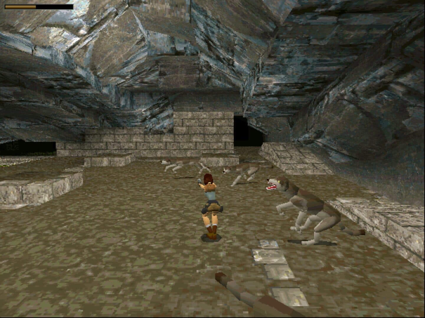 Screenshot for Tomb Raider