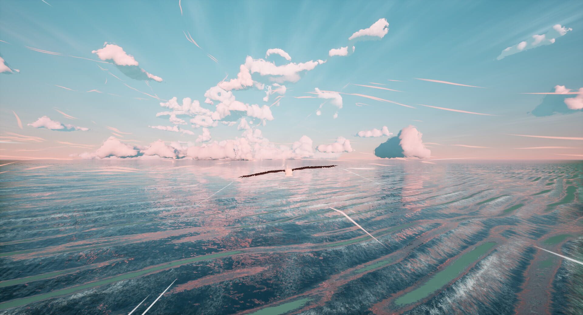 Screenshot for Toroa: Skycall
