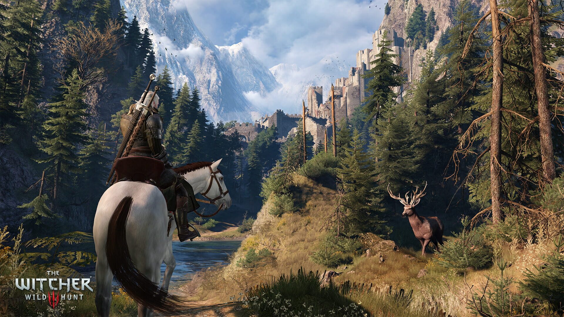 Screenshot for The Witcher 3: Wild Hunt