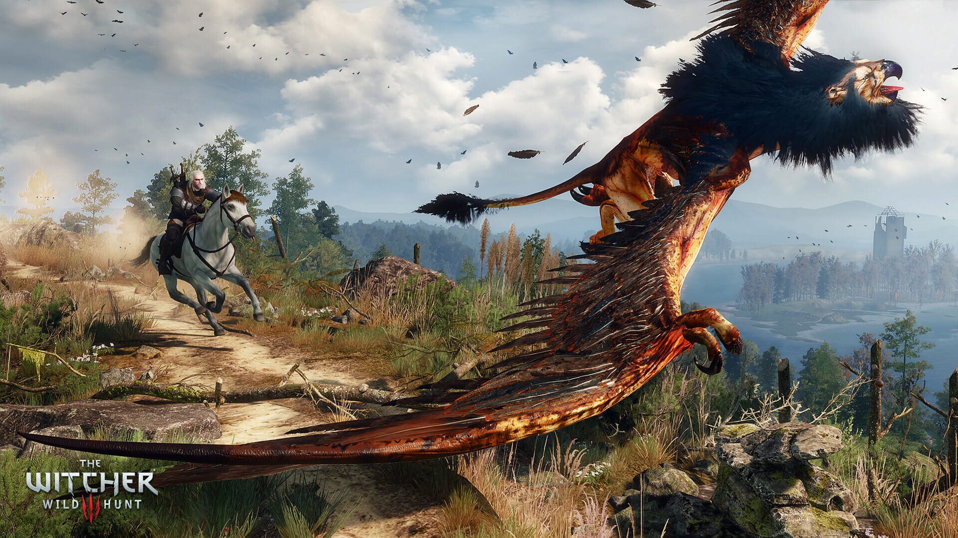 Screenshot for The Witcher 3: Wild Hunt