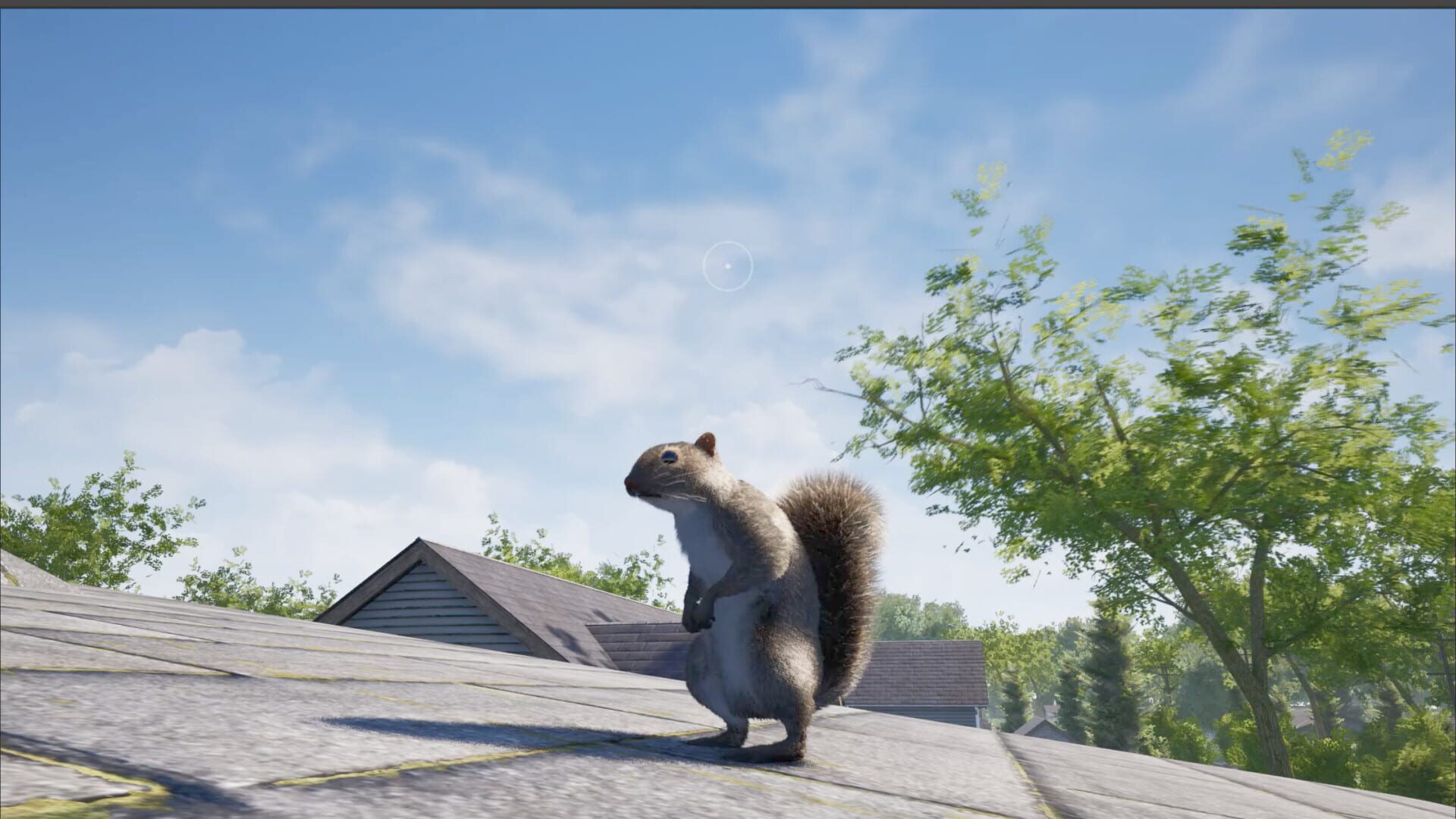 Screenshot for Squirrel with a Gun