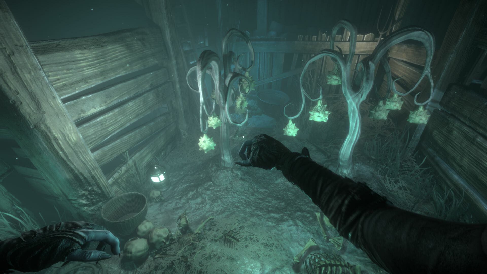 Screenshot for Bloody Hell Hotel