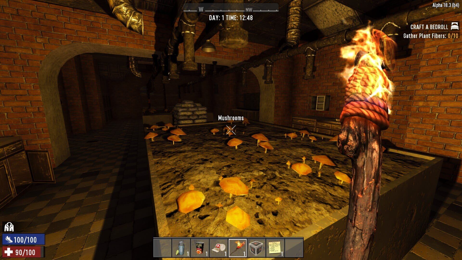 Screenshot for 7 Days to Die