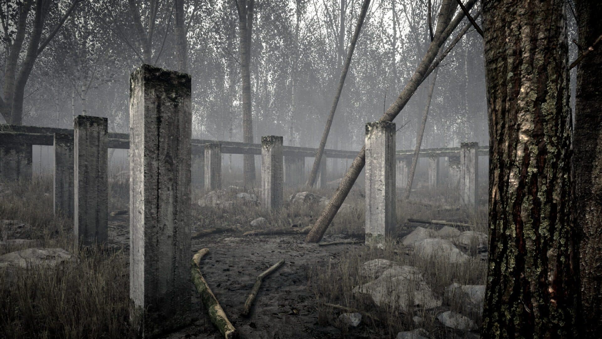Screenshot for Road to Vostok