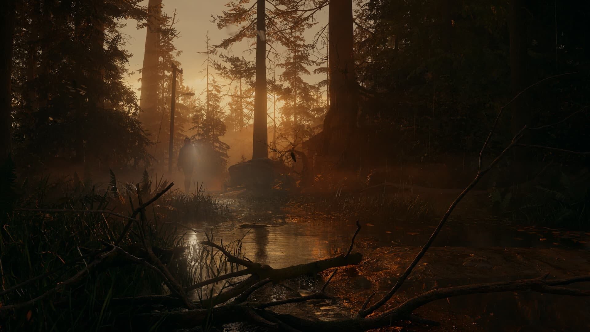 Screenshot for Alan Wake II