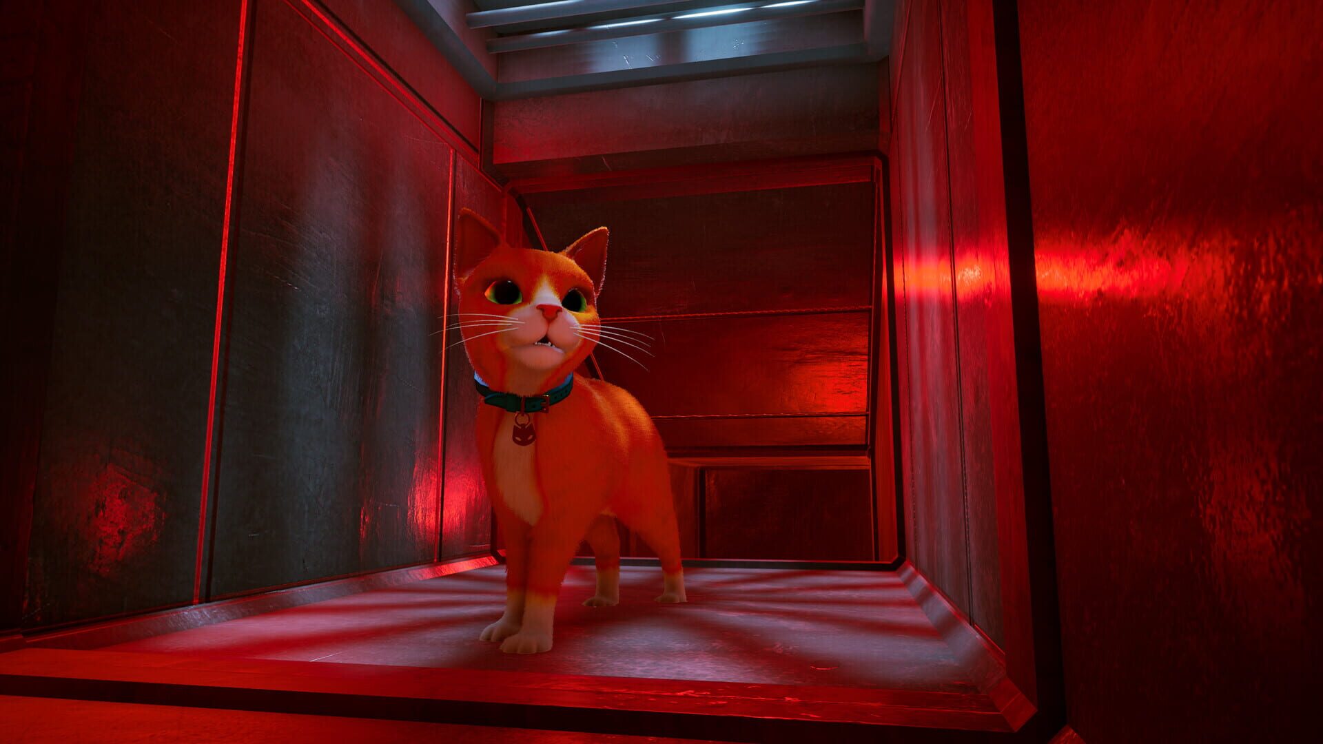 Screenshot for Schrodinger's Cat Burglar