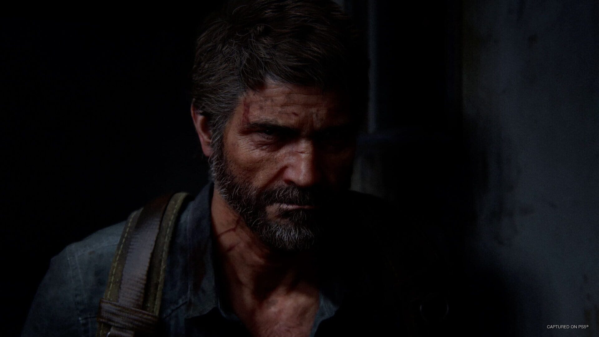 Screenshot for The Last of Us Part II: Remastered