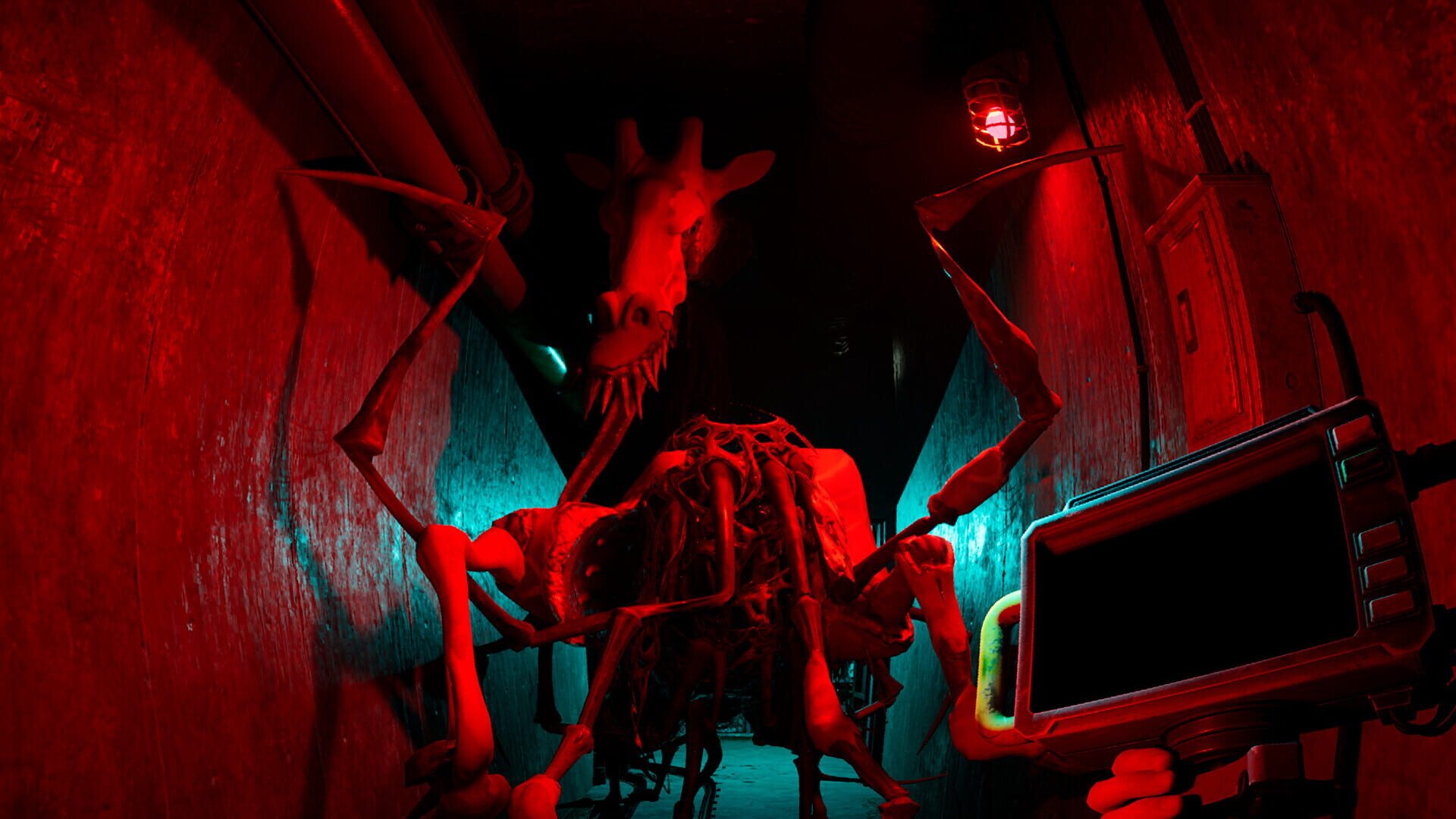 Screenshot for Zoochosis