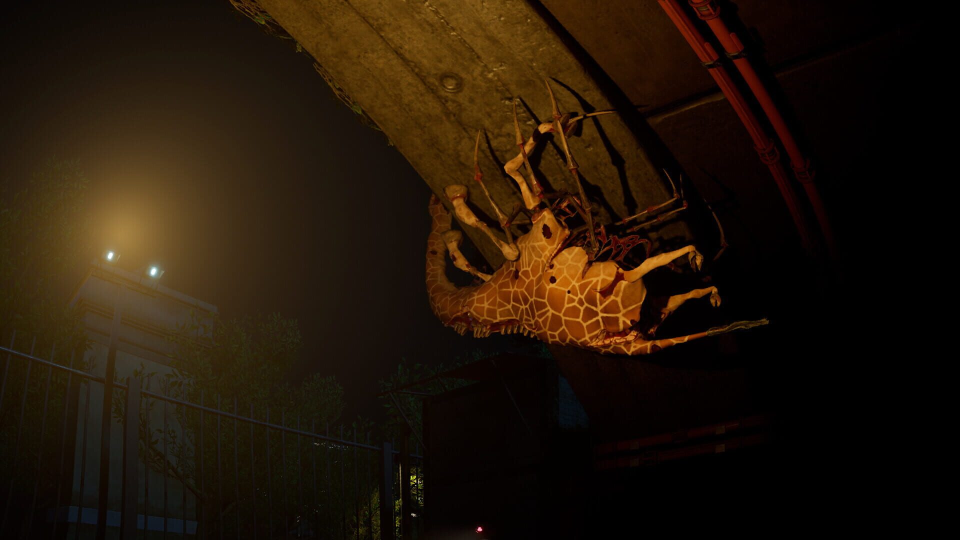 Screenshot for Zoochosis